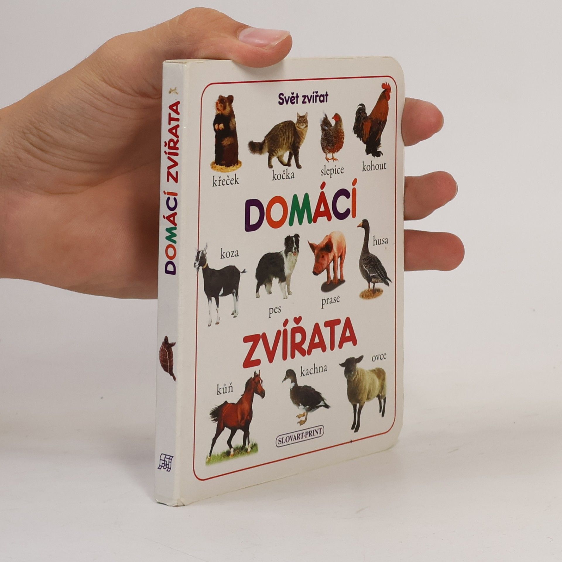 Markéta Šubotníková Domácí zvířata