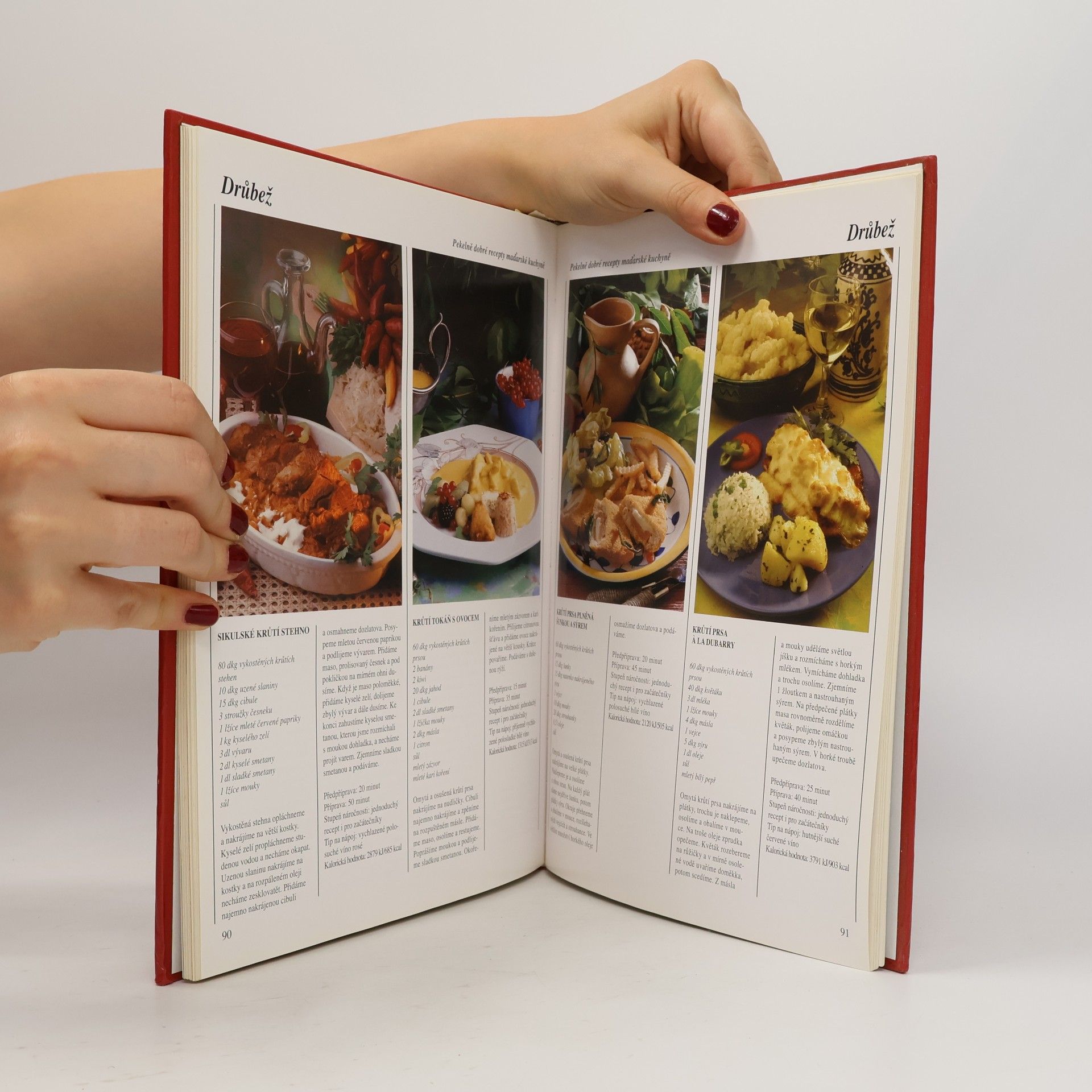 Gábor Erdös Pekelně dobré recepty maďarské kuchyně