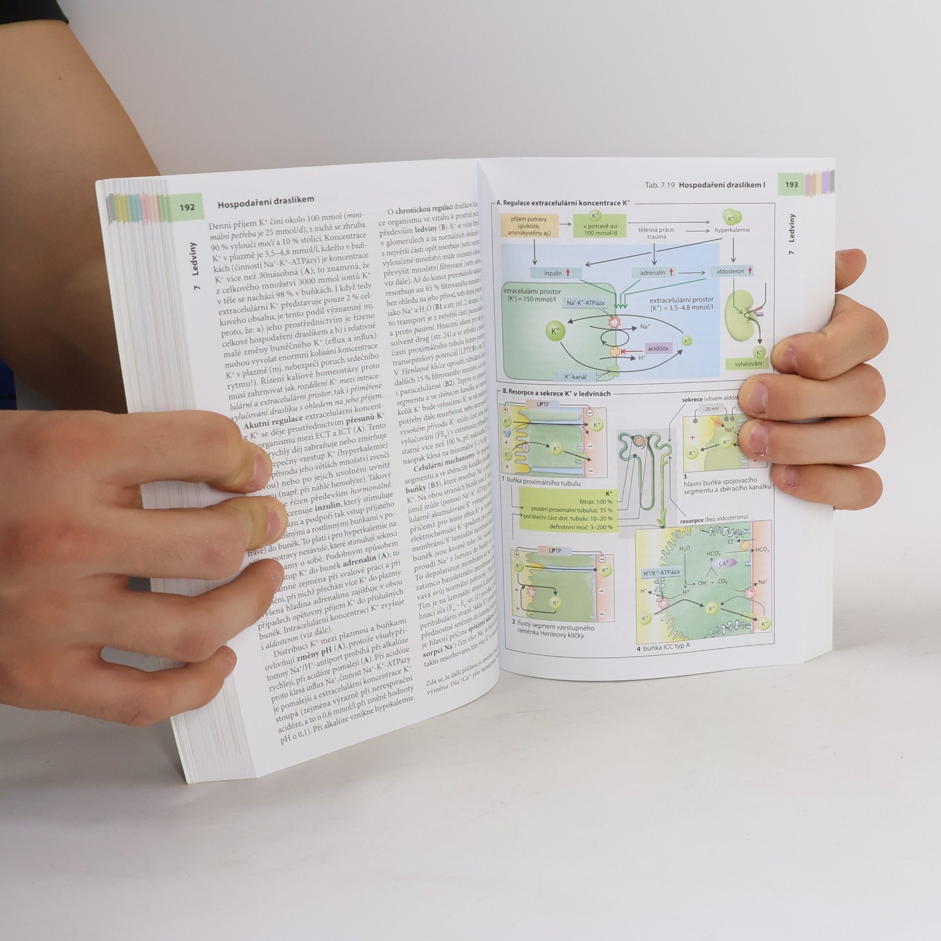 Stefan Silbernagl Atlas fyziologie člověka