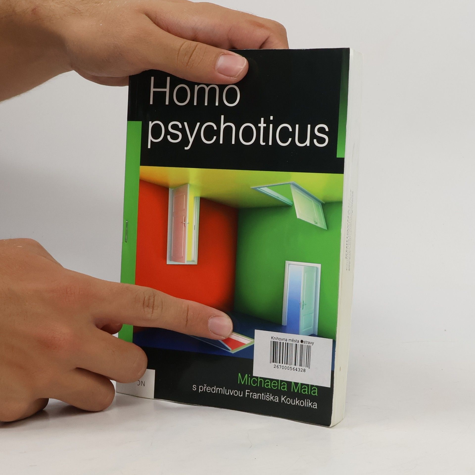 Markéta Dohnalová Homo psychoticus