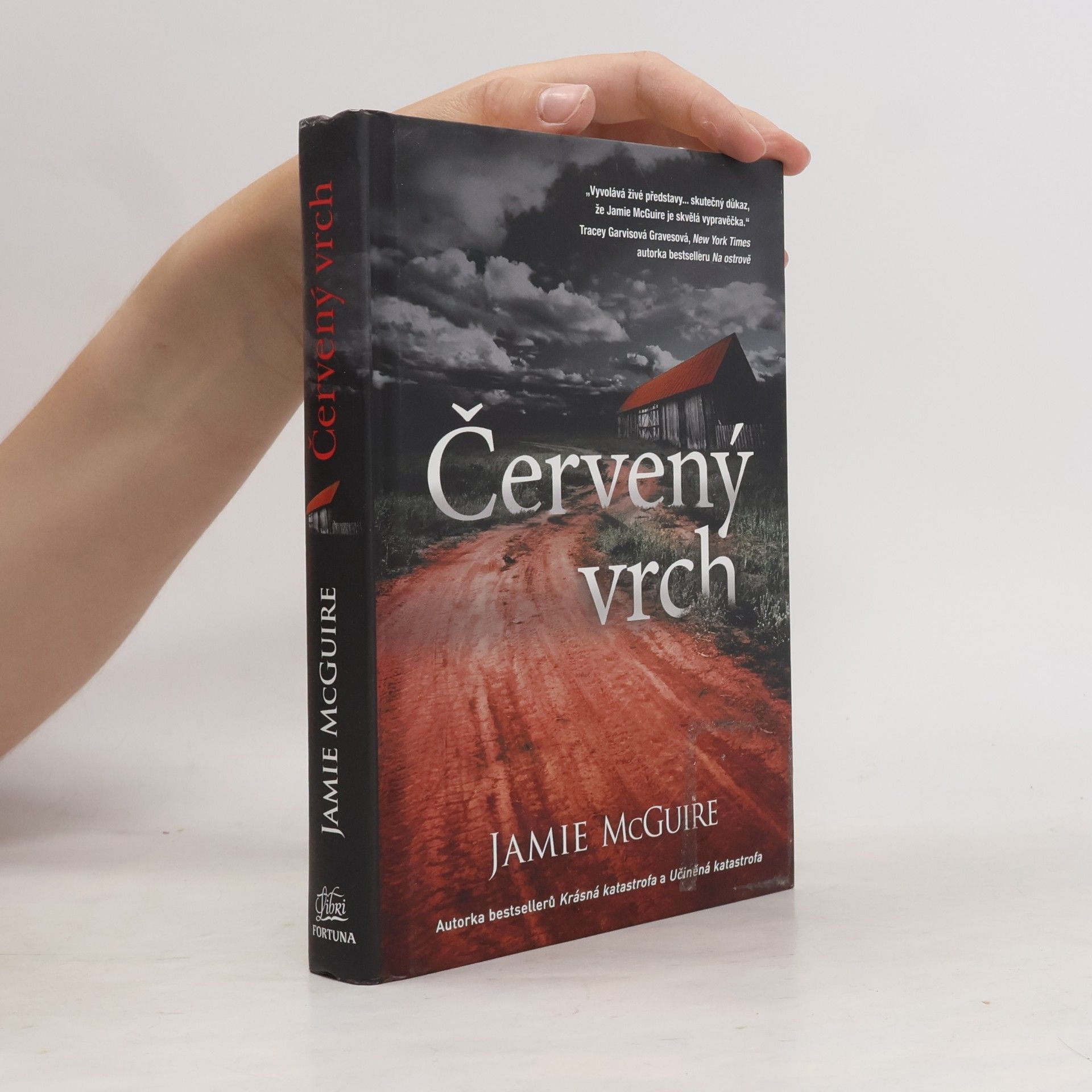 Jamie McGuire Červený vrch