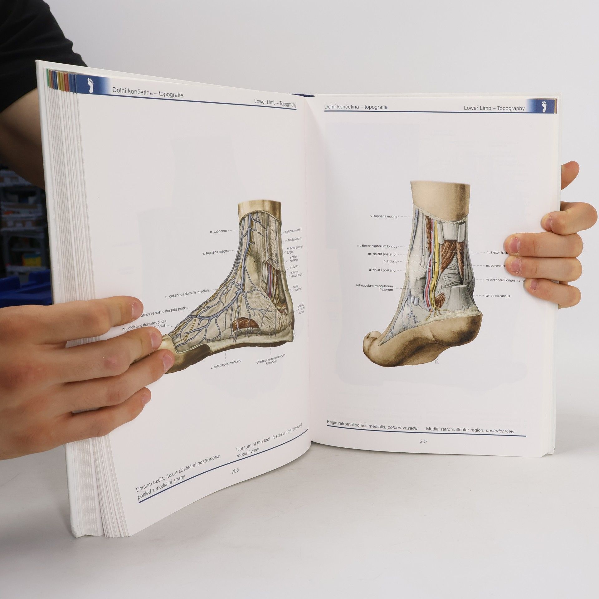 Miloš Grim Atlas anatomie člověka. Atlas of human anatomy