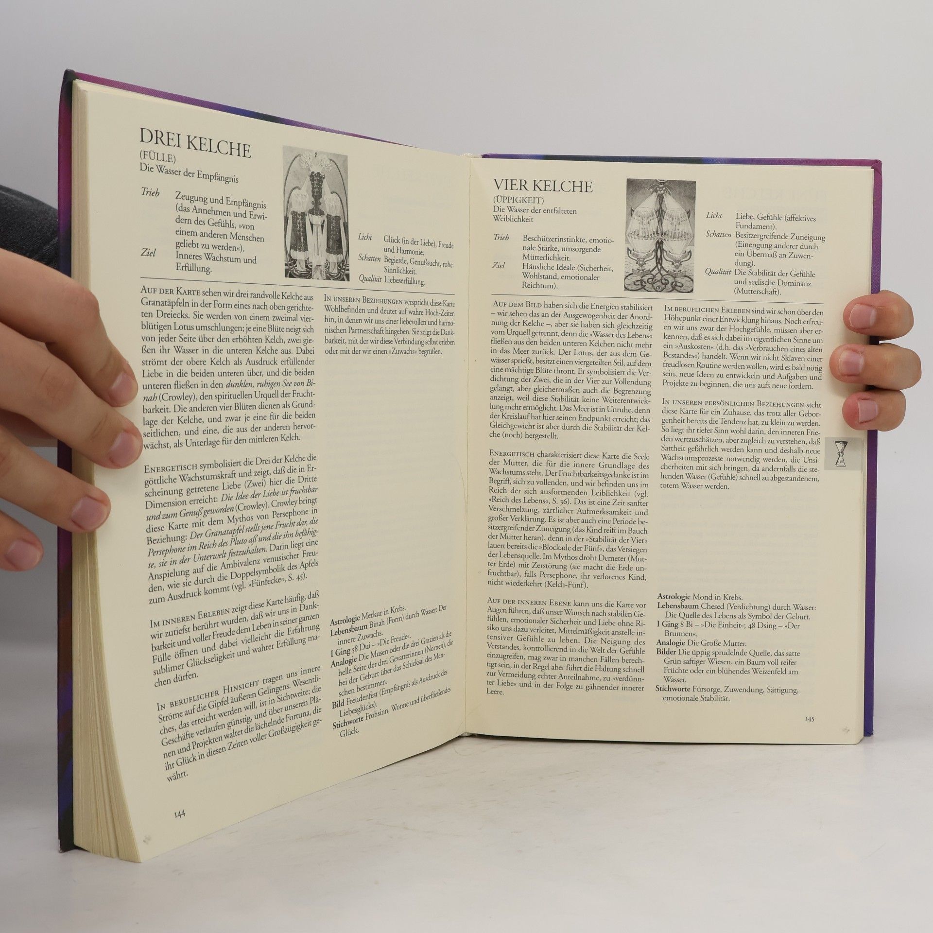 Hajo Banzhaf Der Crowley-Tarot