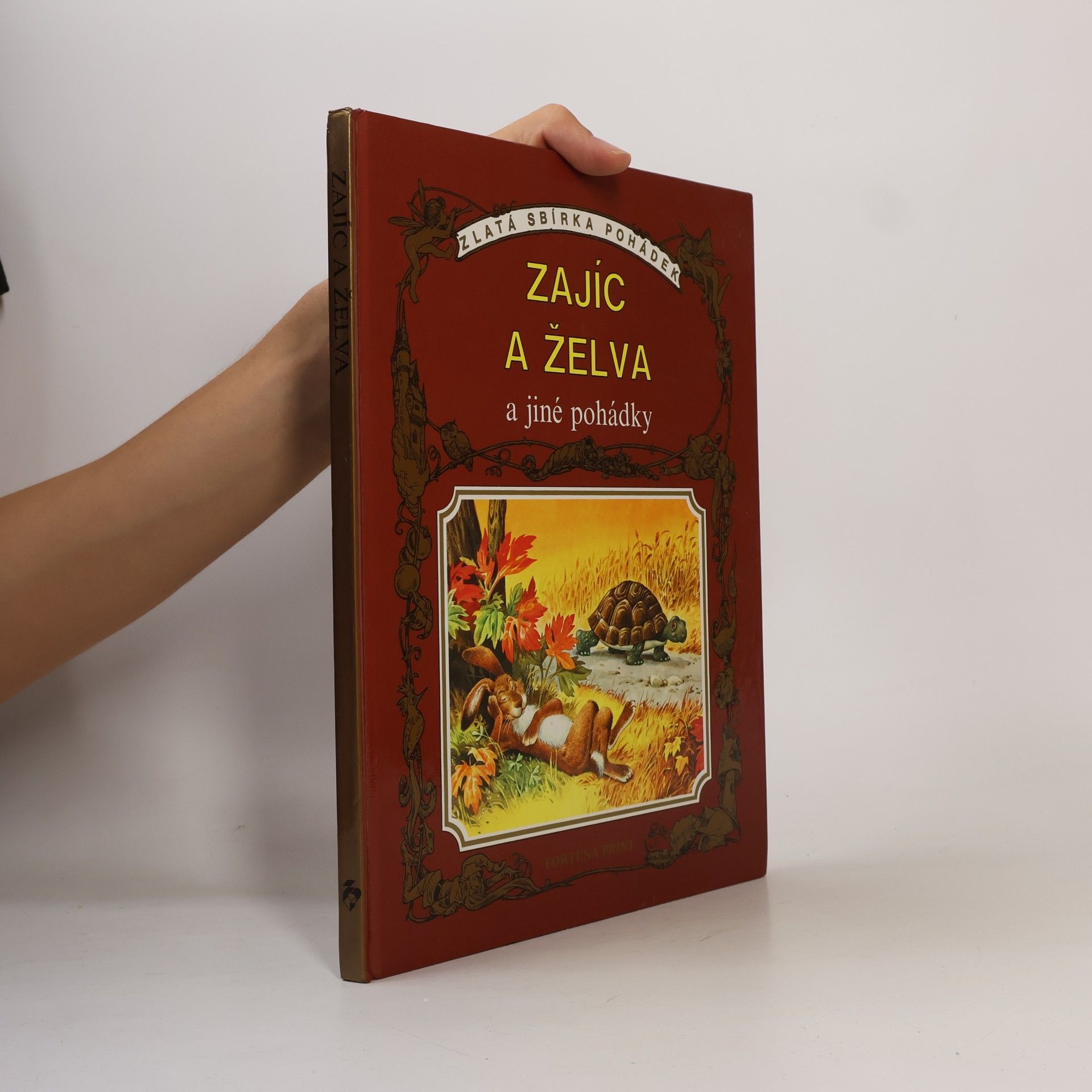Collectif d'auteurs Zajíc a želva a jiné pohádky