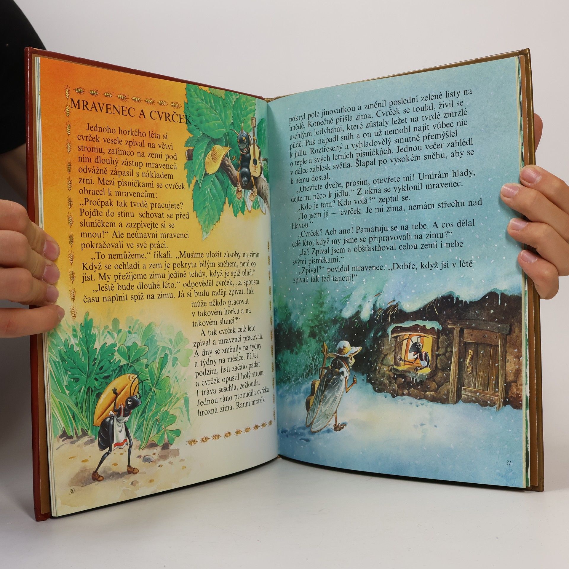 Collectif d'auteurs Zajíc a želva a jiné pohádky
