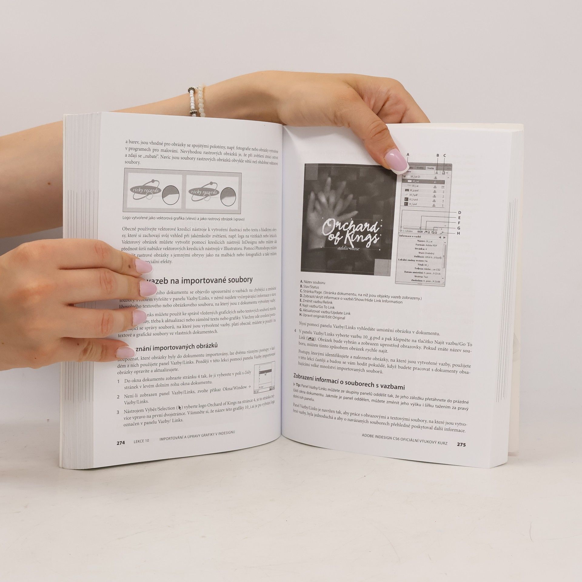 Autorenkollektiv Adobe InDesign CS6 : oficiální výukový kurz