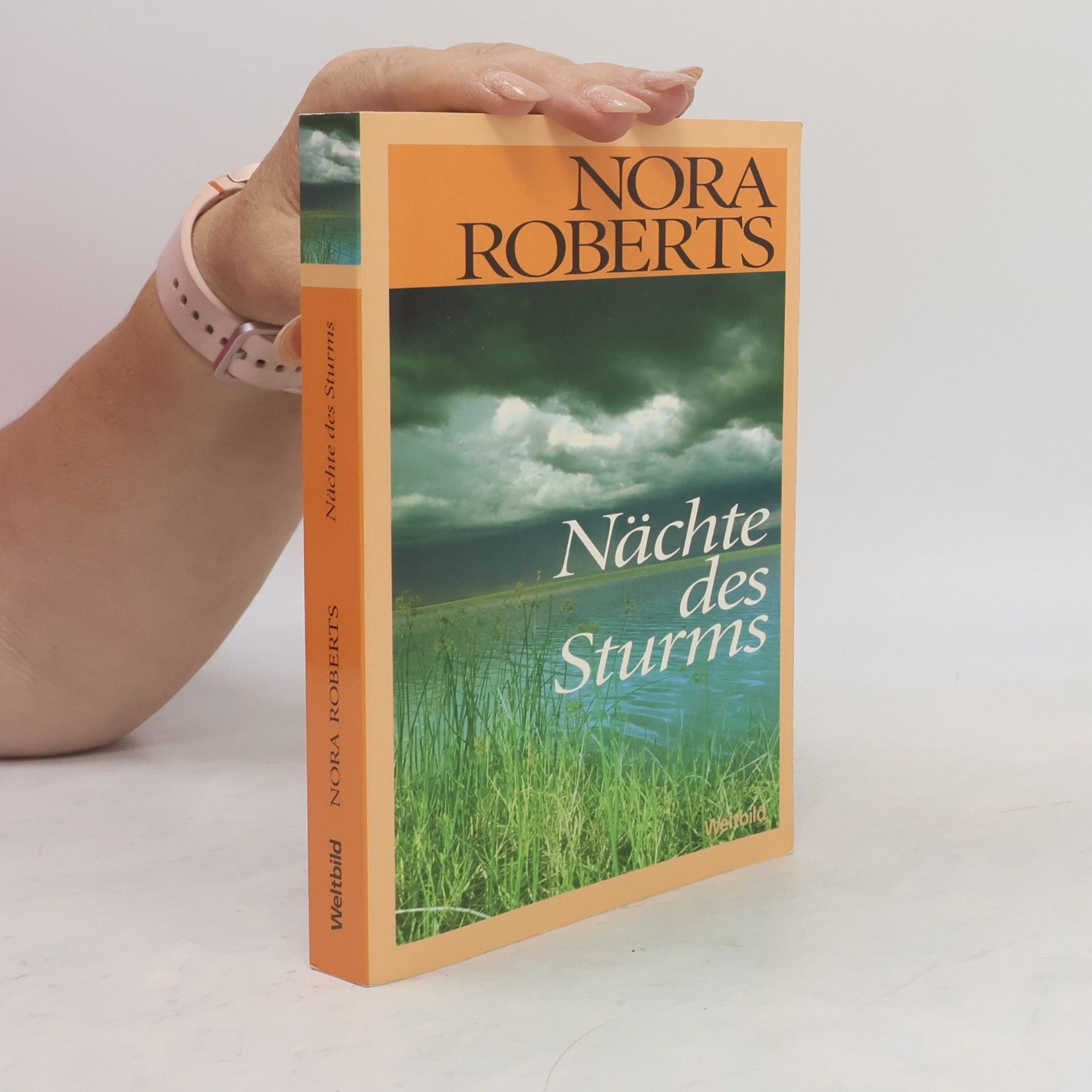 Nora Roberts Nächte des Sturms