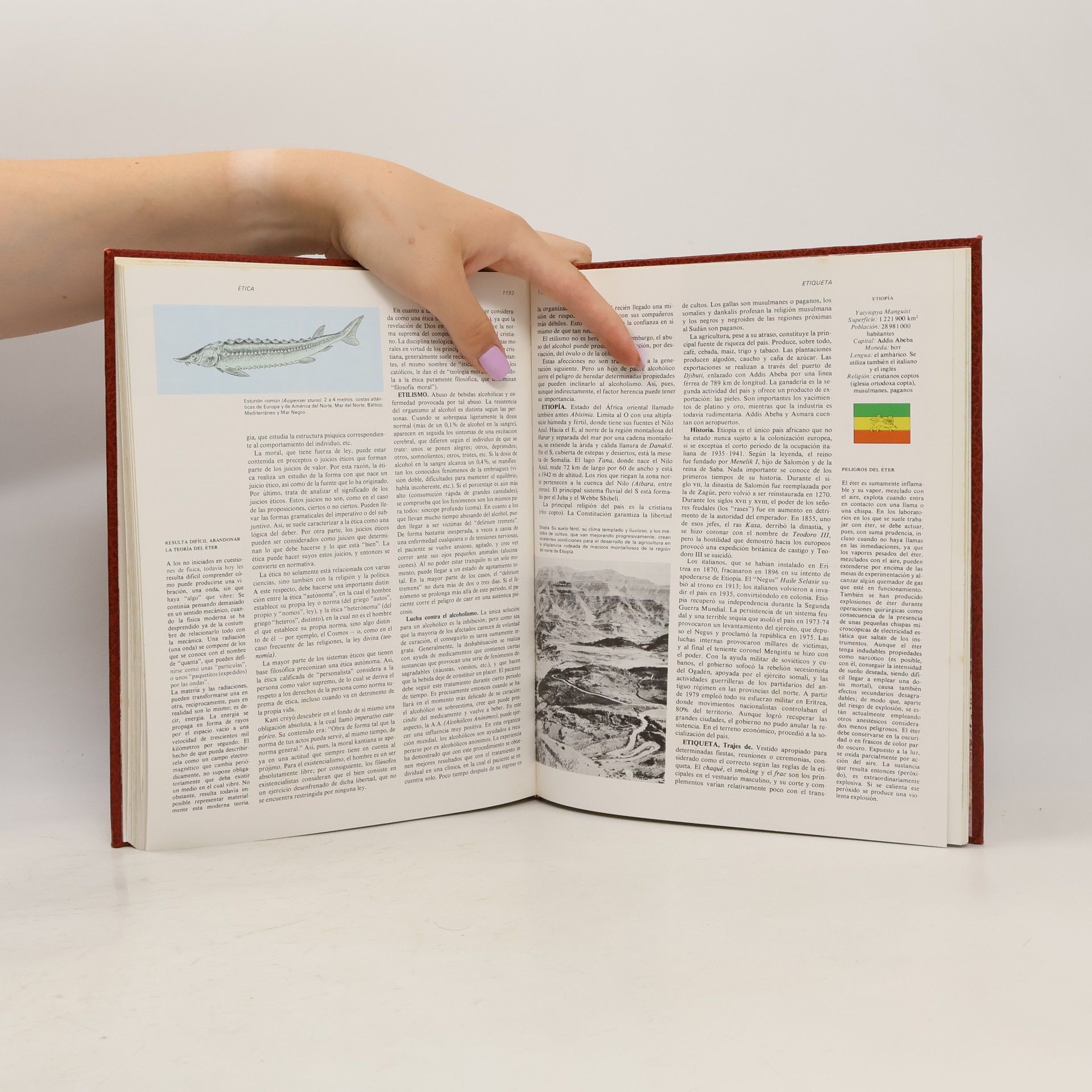 Kolektív autorov Gran Enciclopedia Universal 6