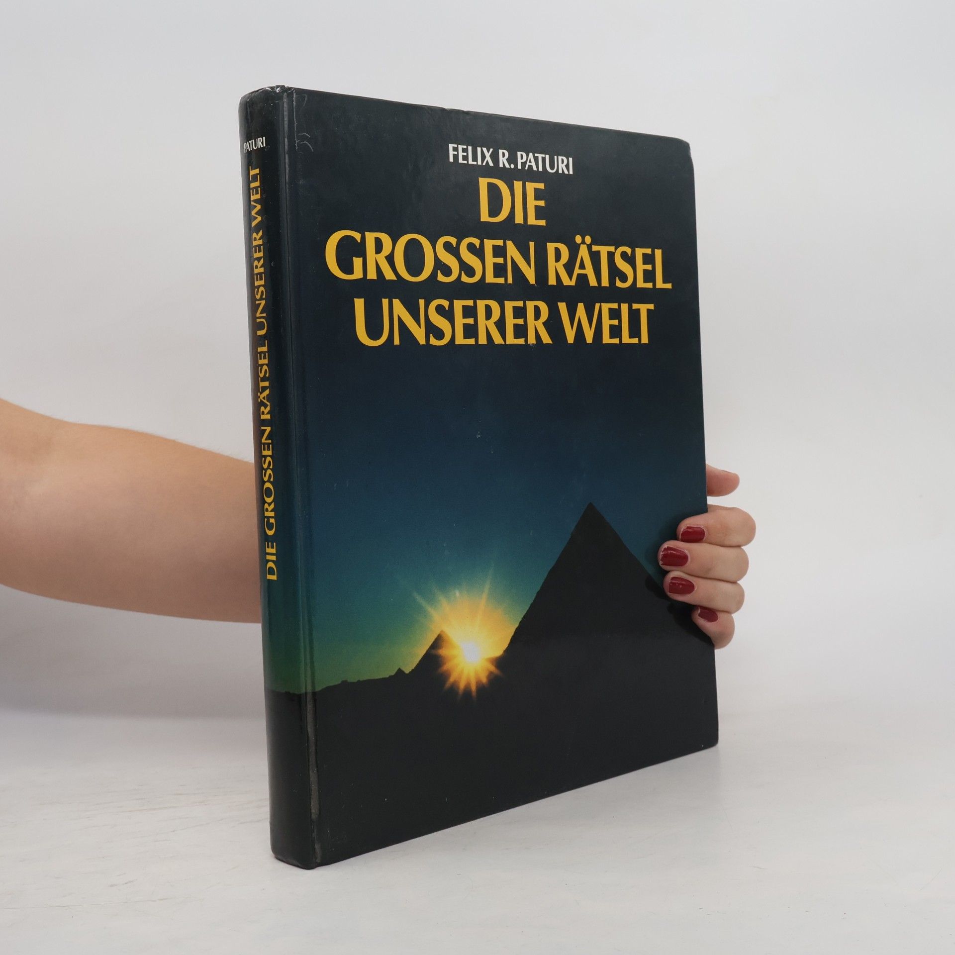 Felix R. Paturi Die grossen Rätsel unserer Welt