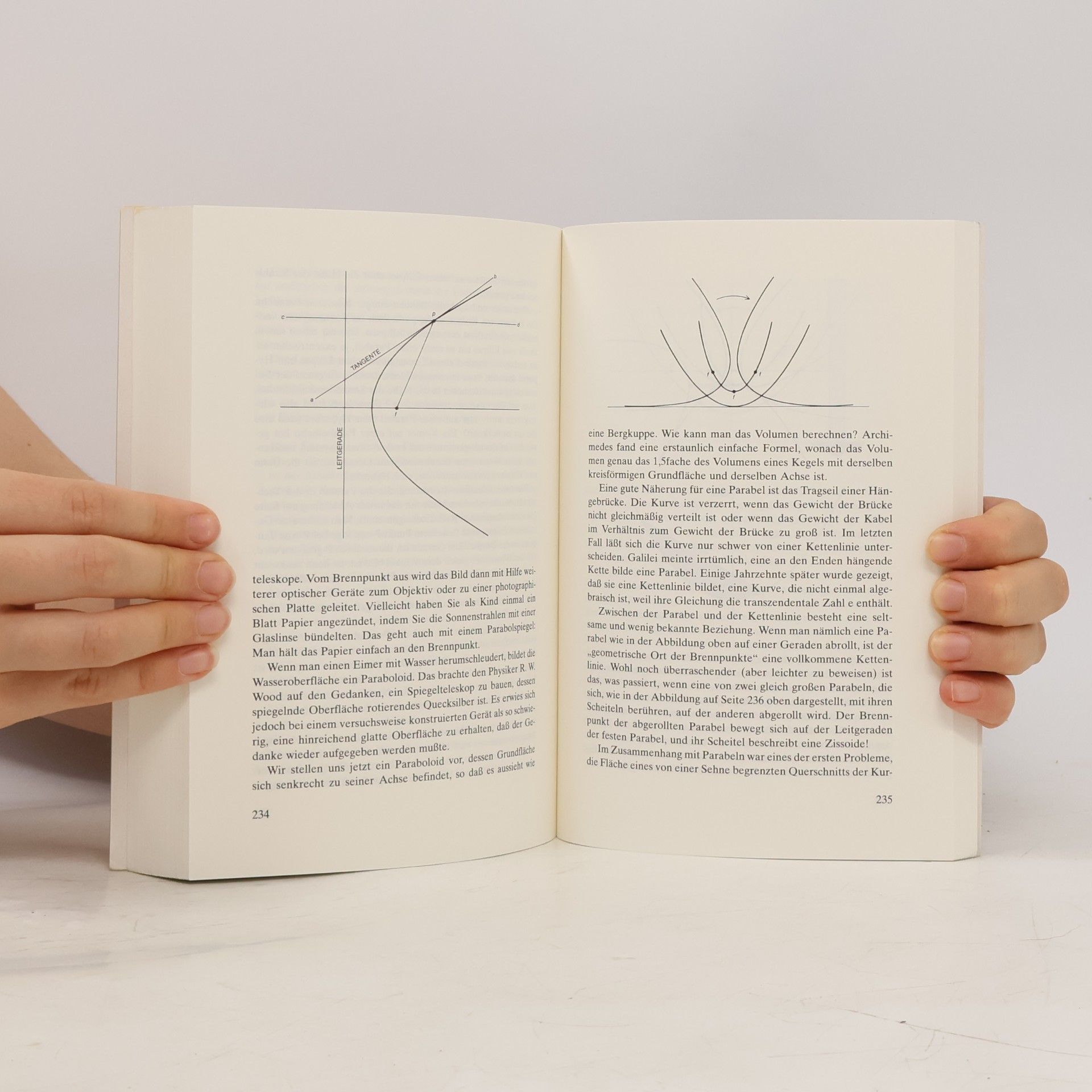 Martin Gardner Geometrie mit Taxis, die Köpfe der Hydra und andere mathematische Spielereien
