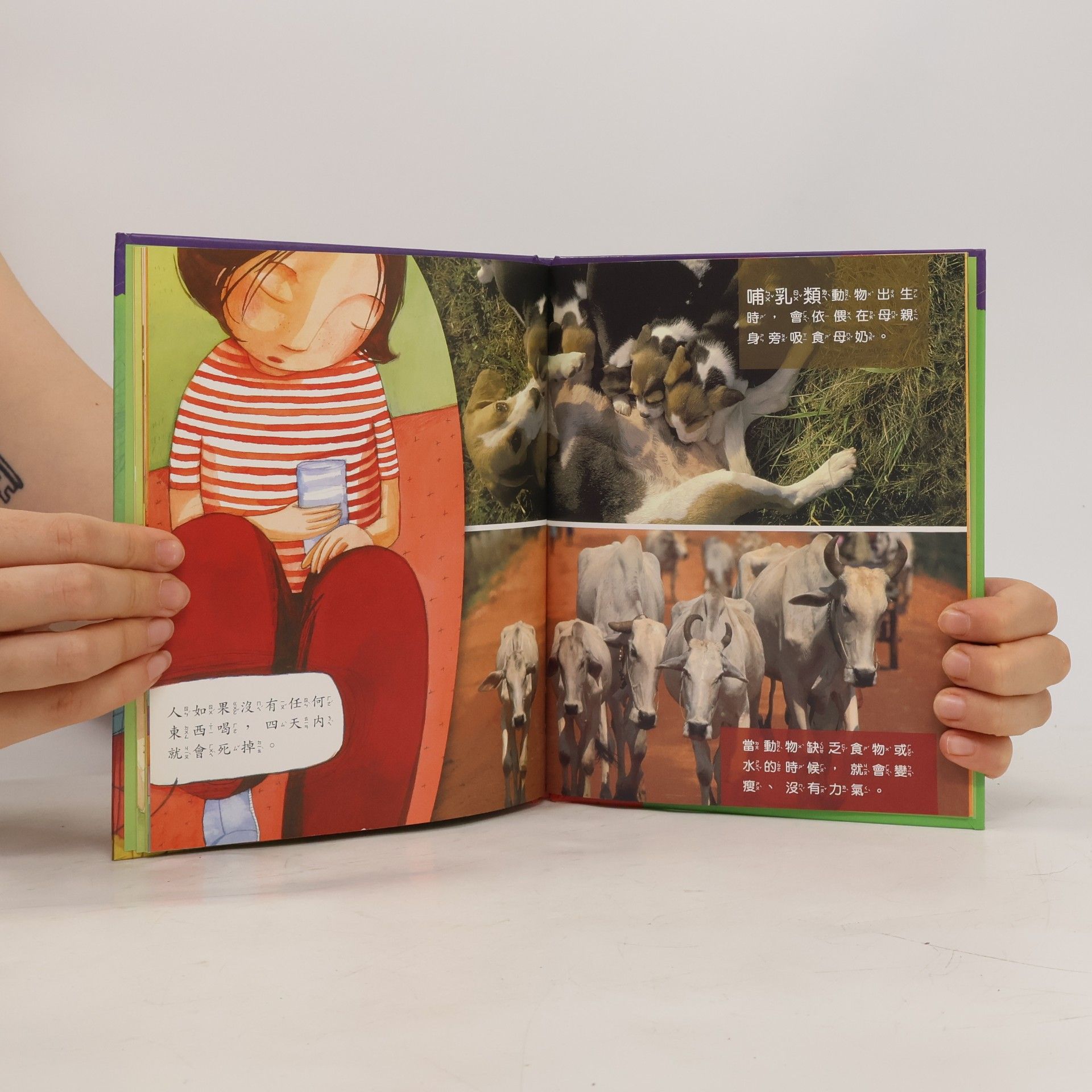 Sylvie de Mathuisieulx 我想想系列 - 3: 不吃東西，會發生什麼事？