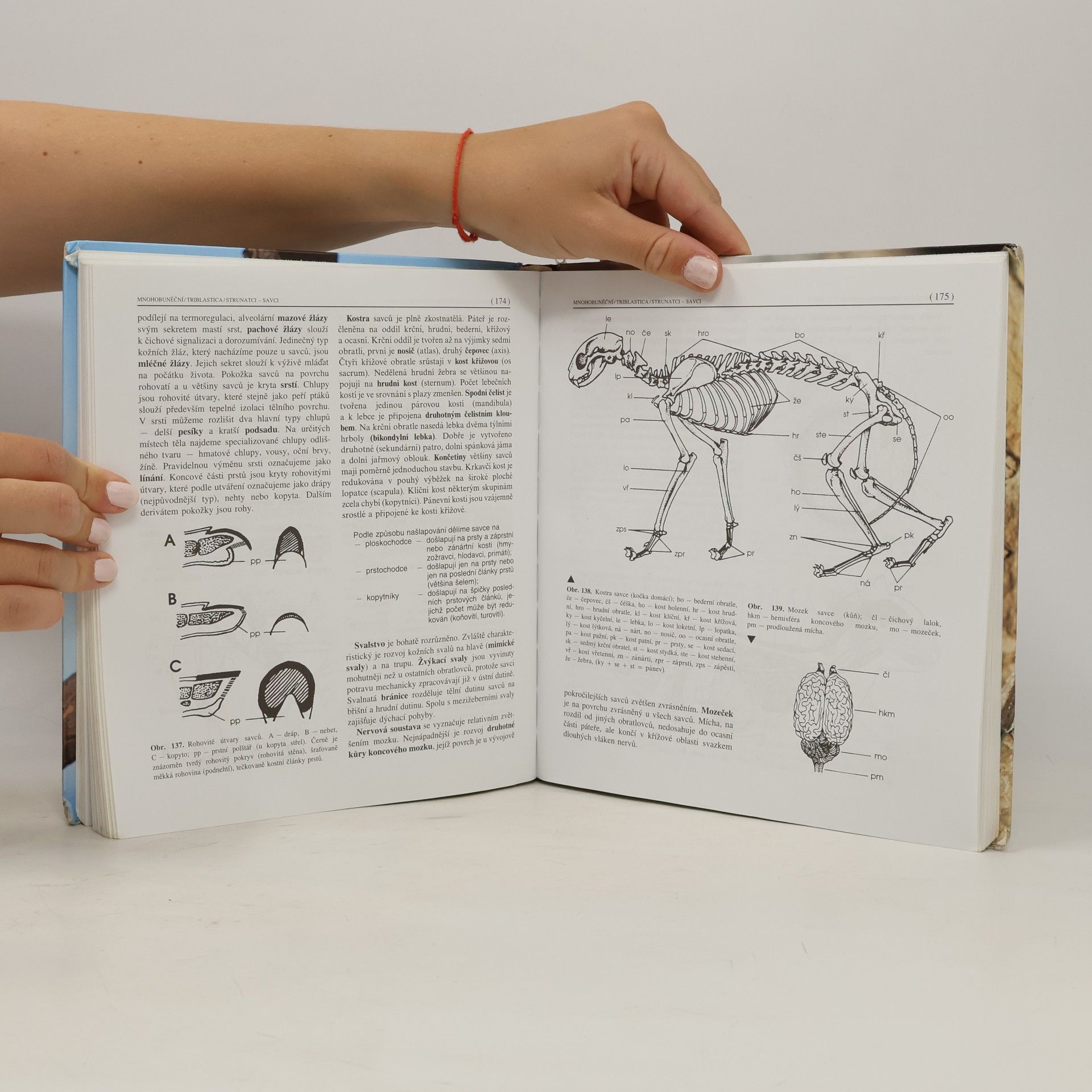 Miroslav Papáček Zoologie