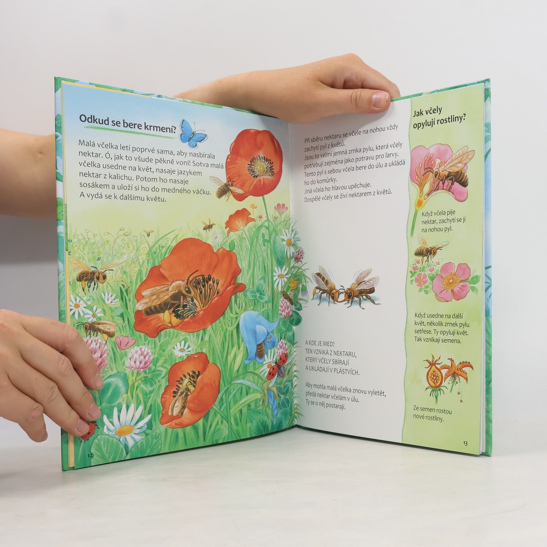 Friederun Reichenstetter Včelky - Jak vyrůstají a žijí?