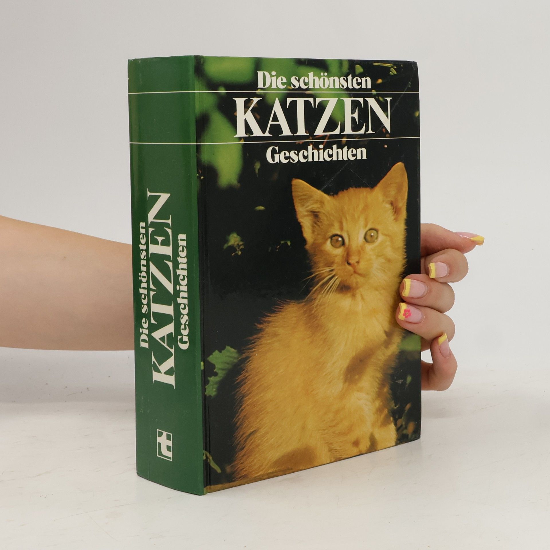 Kolektív autorov Cäsars Tochter und andere Katzengeschichten