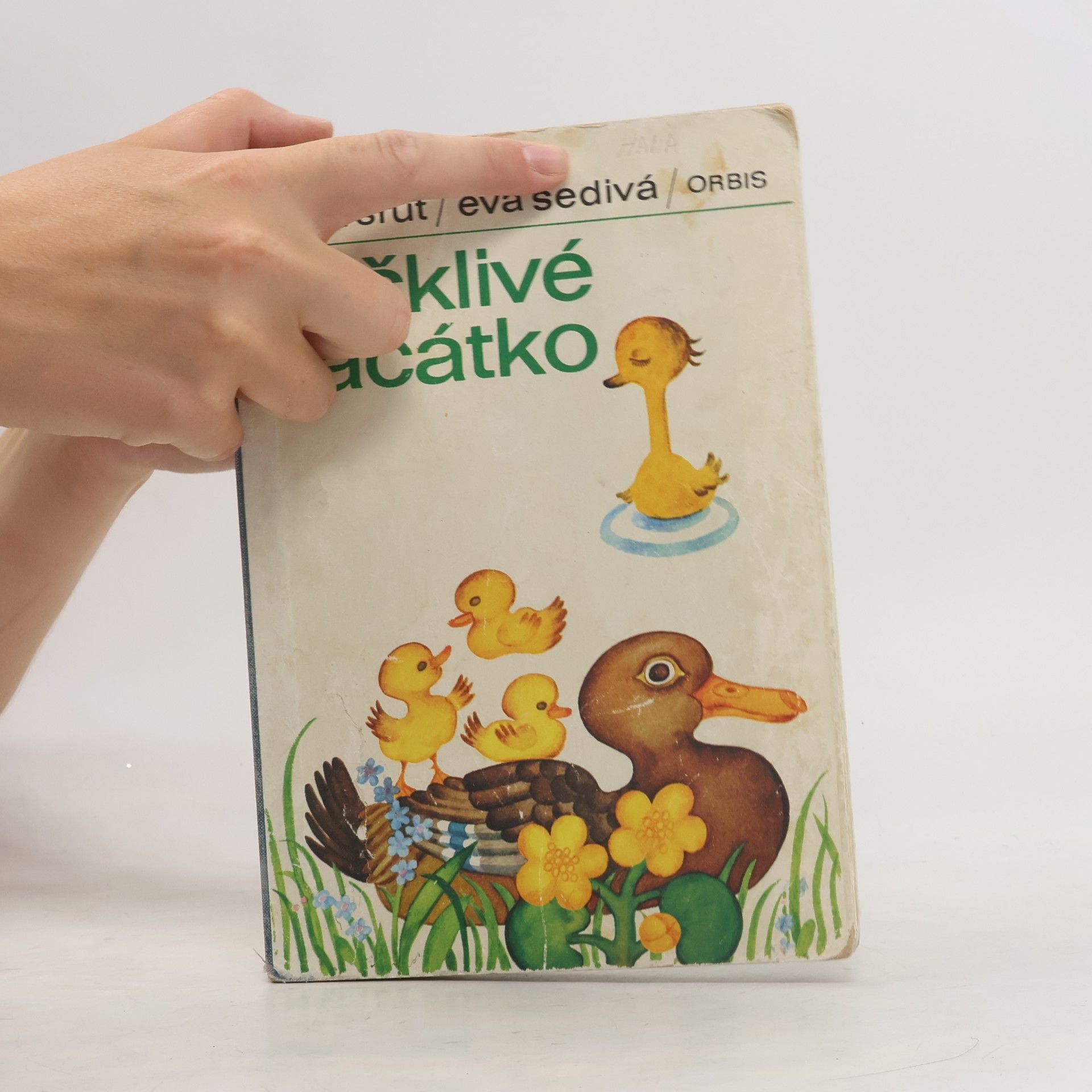 Pavel Šrut Ošklivé kačátko