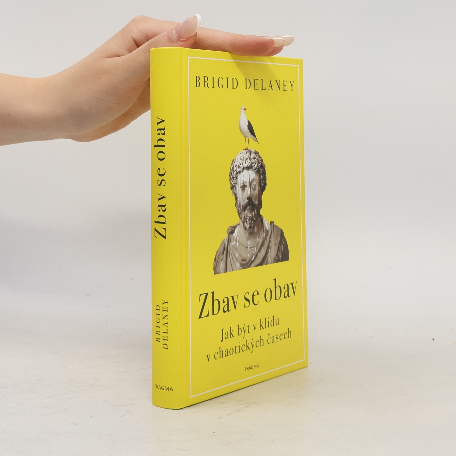 Brigid Delaney Zbav se obav. Jak být v klidu v chaotických časech