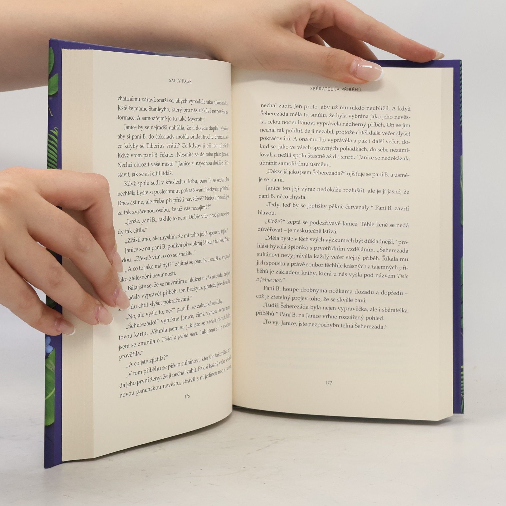 Sally Page Sběratelka příběhů