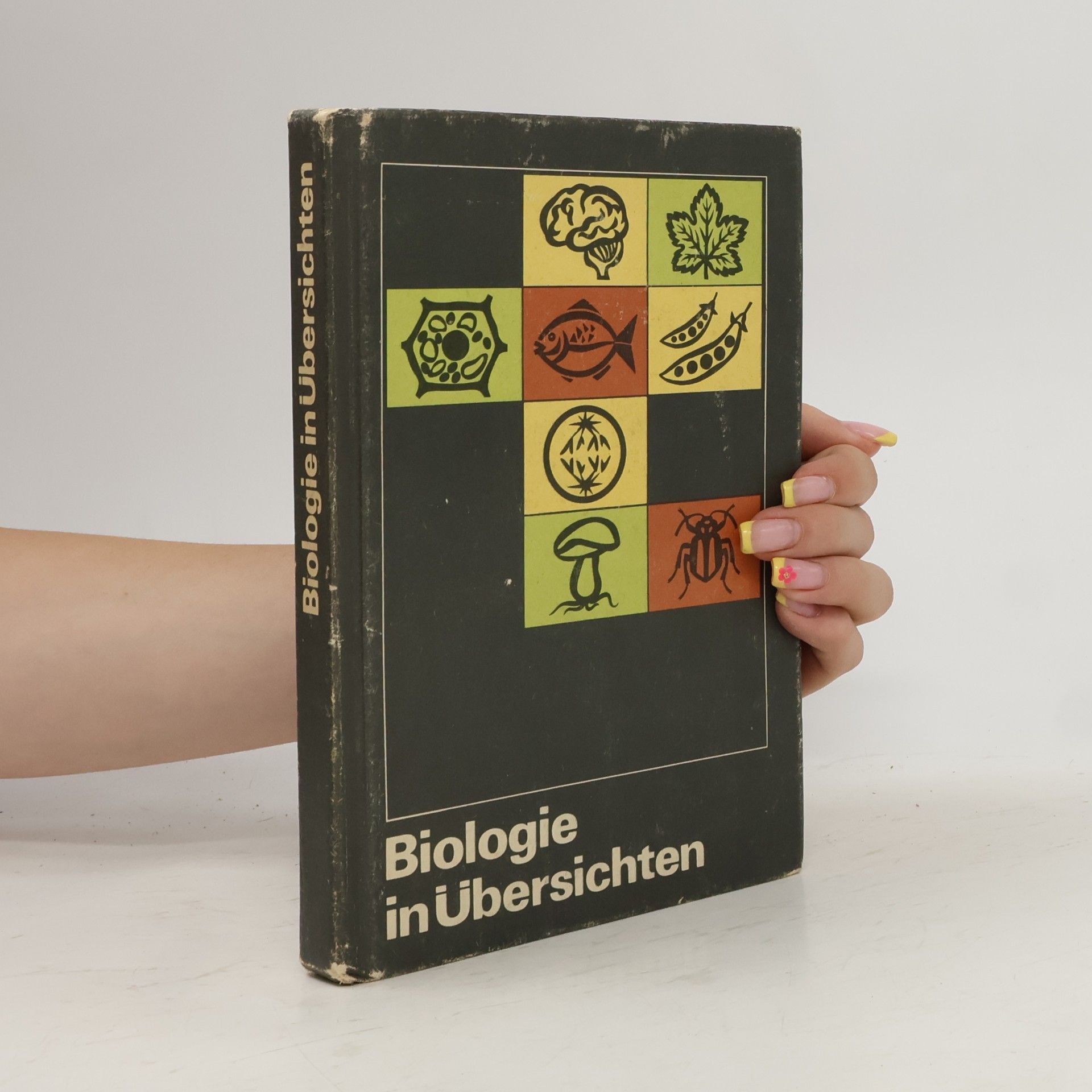 Collectif d'auteurs Biologie in Übersichten
