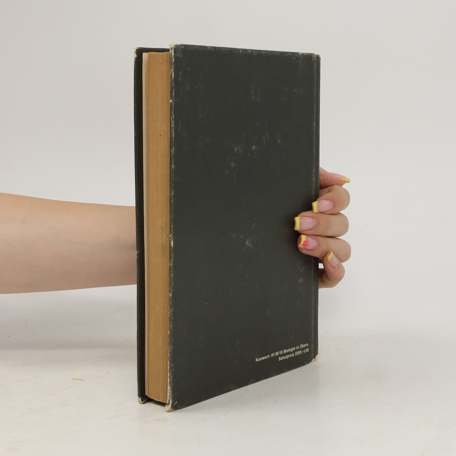 Collectif d'auteurs Biologie in Übersichten