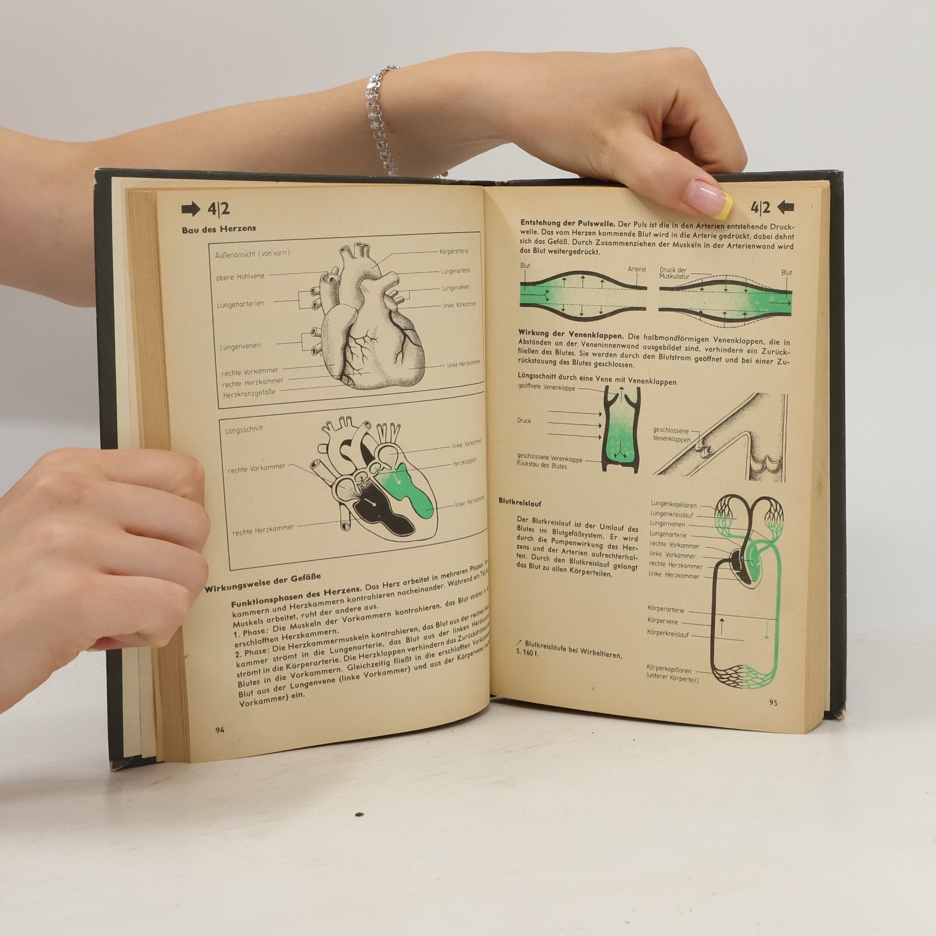 Collectif d'auteurs Biologie in Übersichten