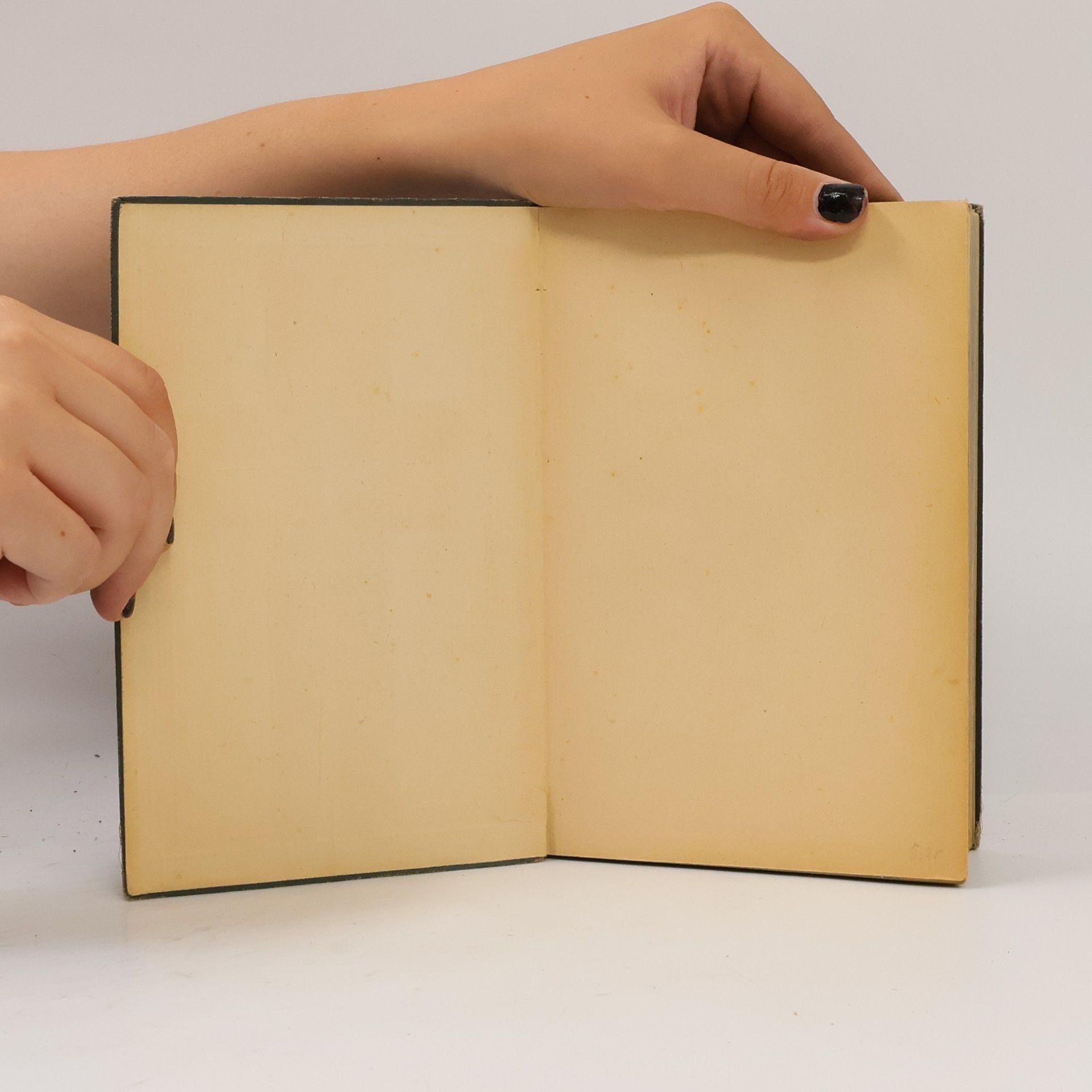 Martin Luther Die heilige Schrift