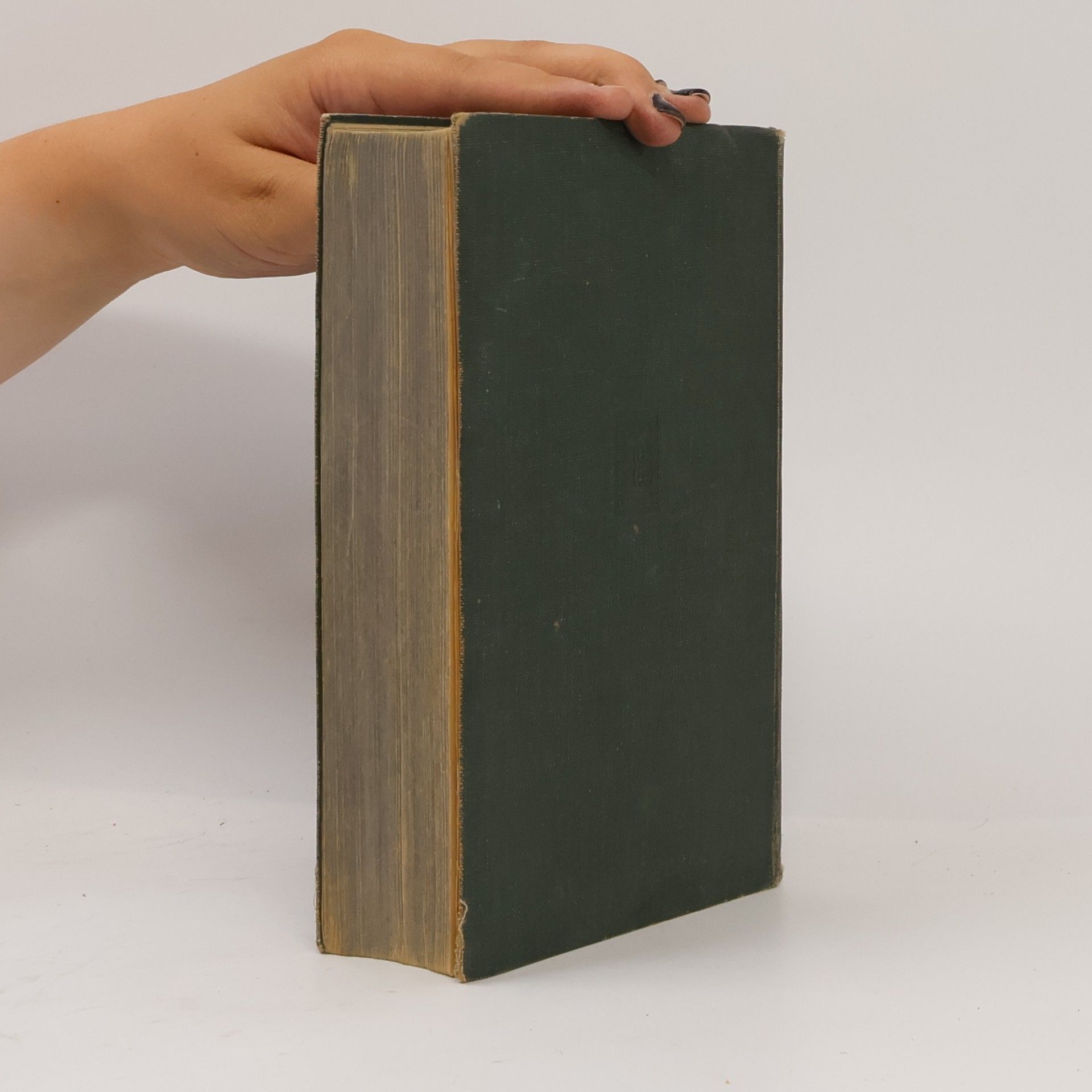 Martin Luther Die heilige Schrift