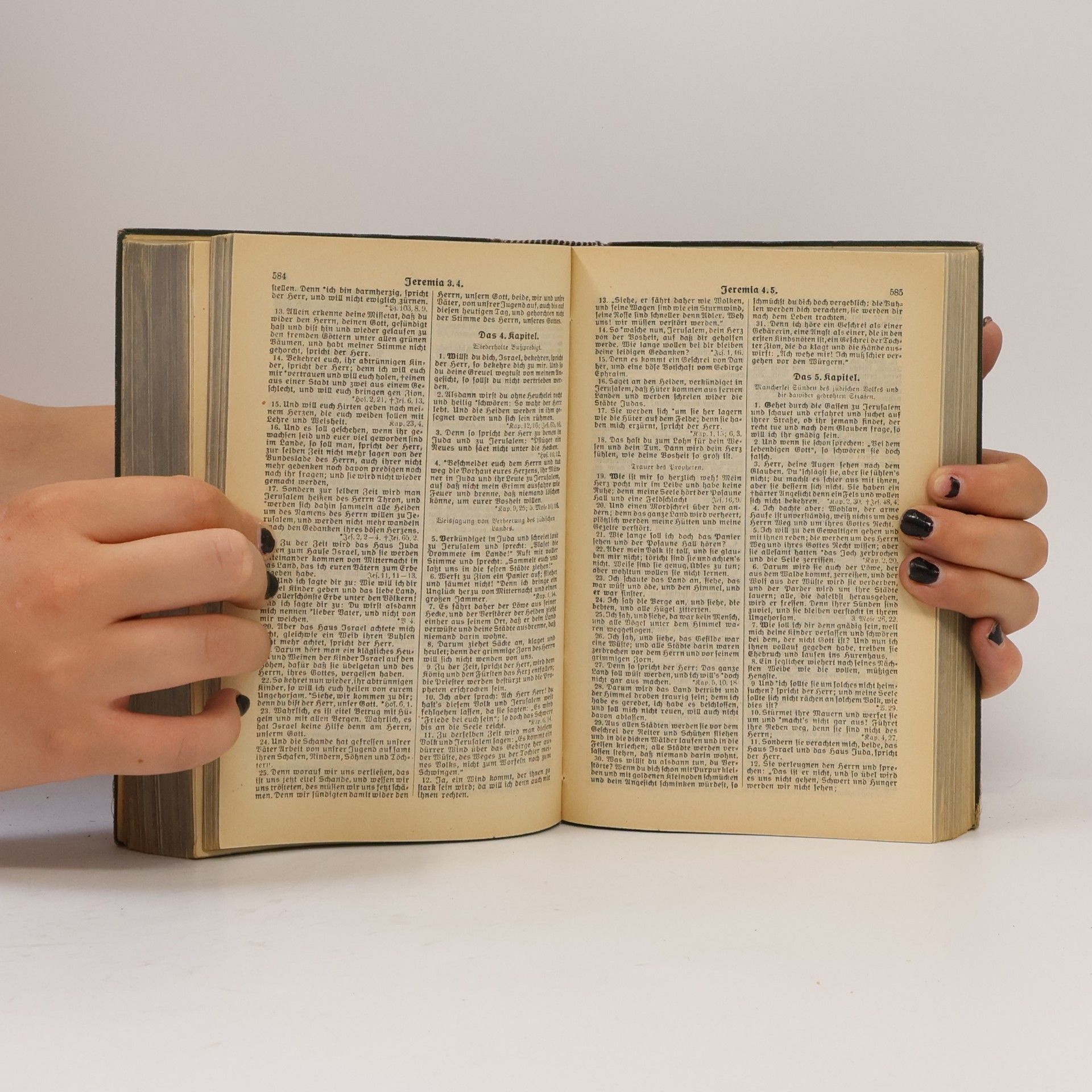 Martin Luther Die heilige Schrift