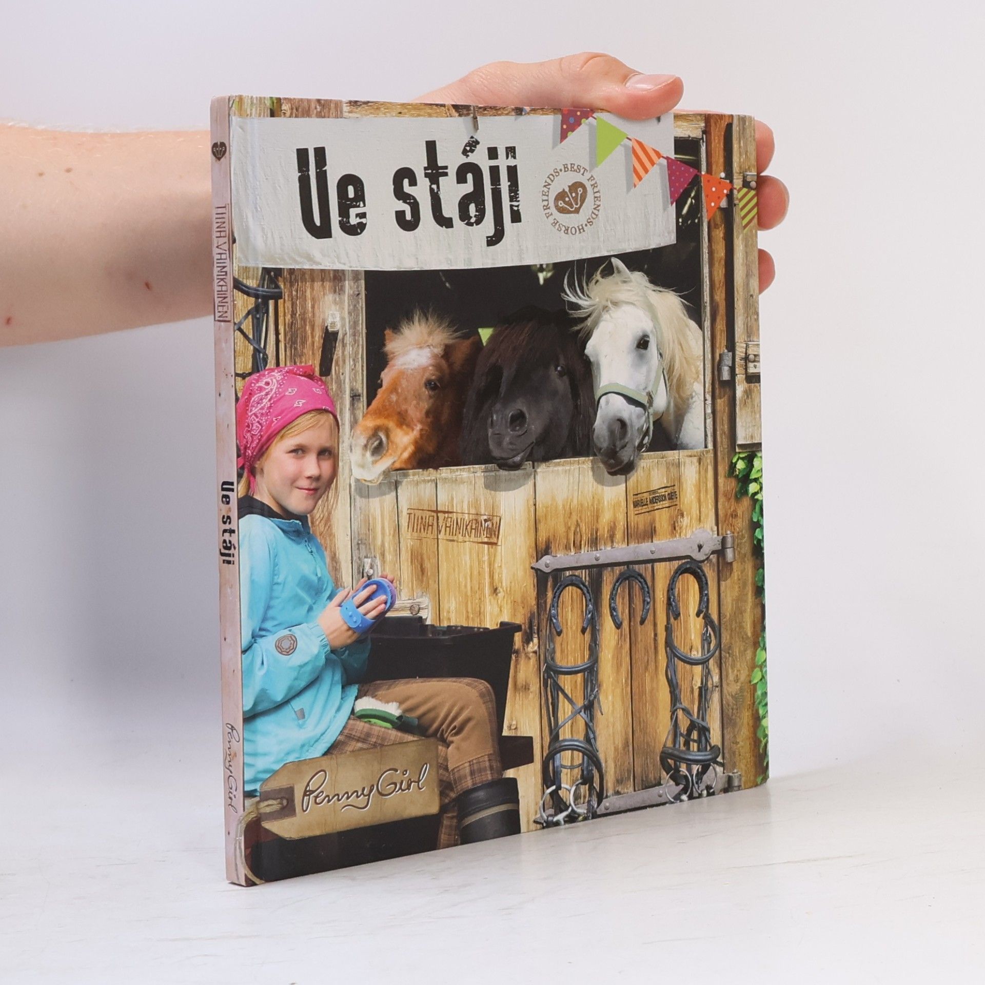Tiina Vainikainen Ve stáji