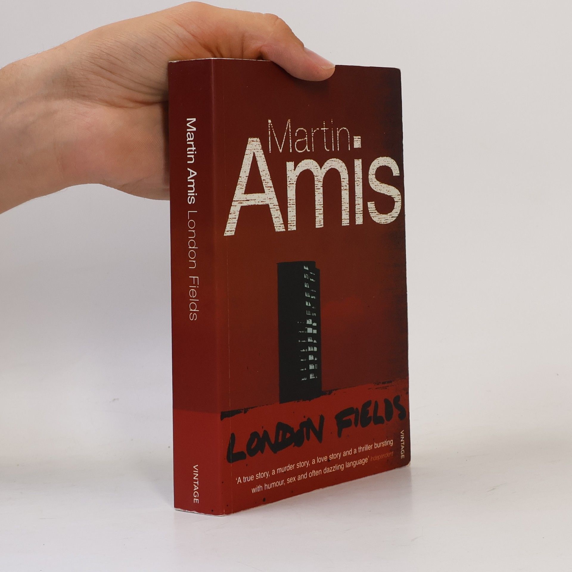Martin Amis Lonodn Fields