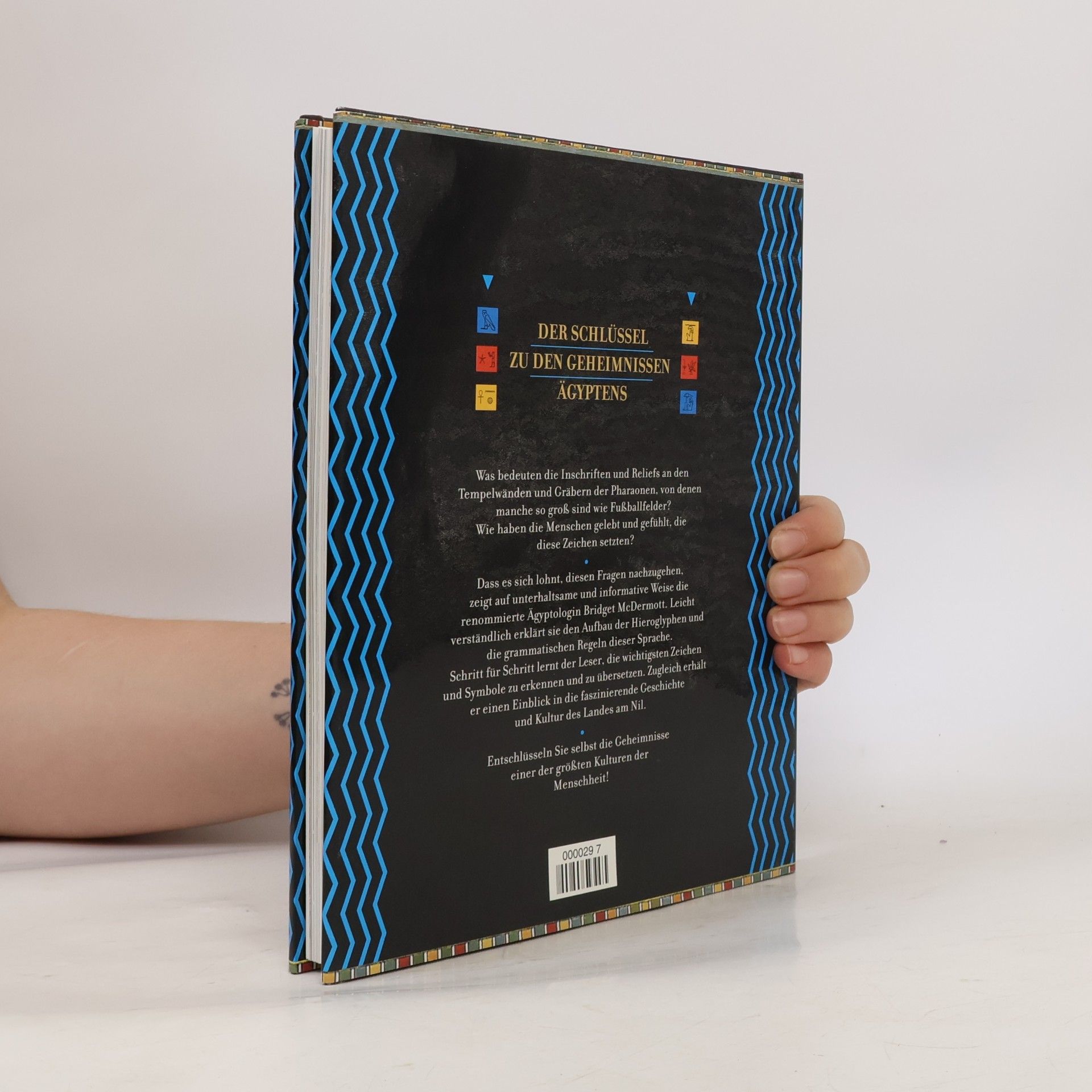 Bridget McDermott Die Hieroglyphen entschlüsselt