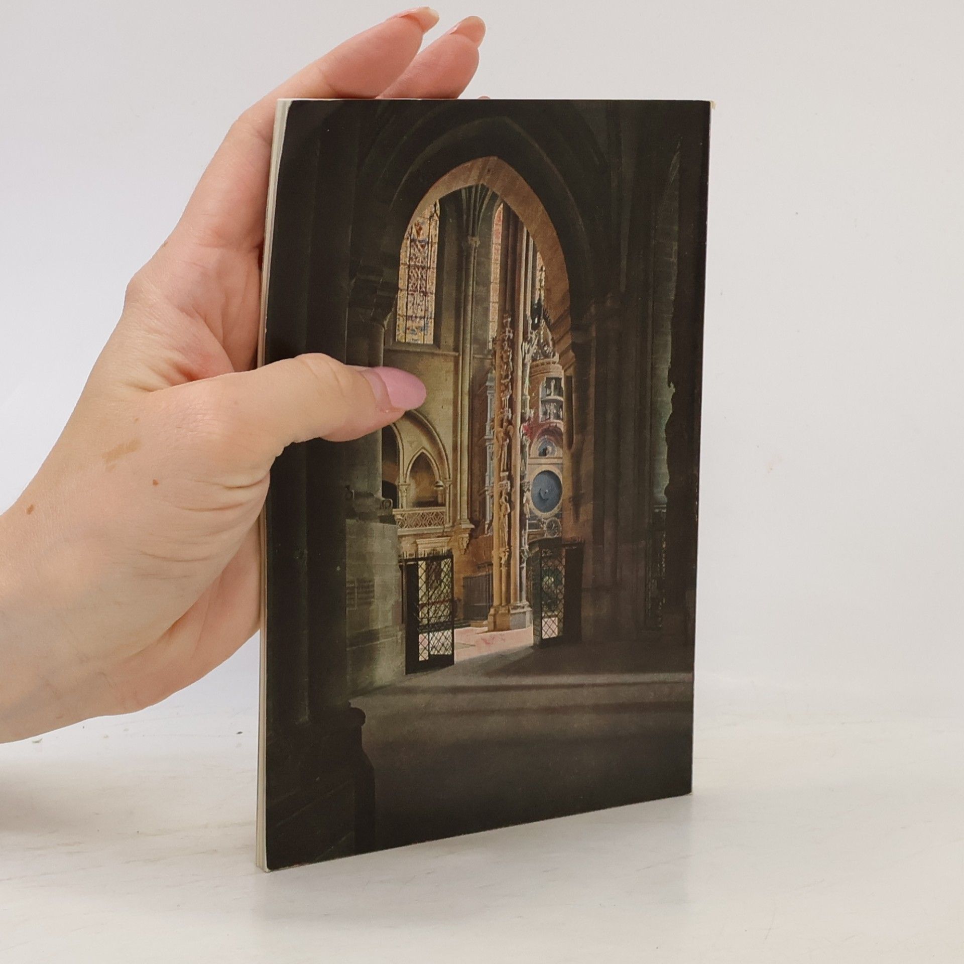 Autores varios Das Strassburger Münster