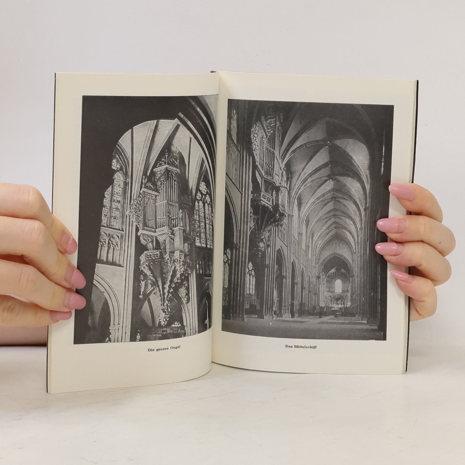 Autores varios Das Strassburger Münster