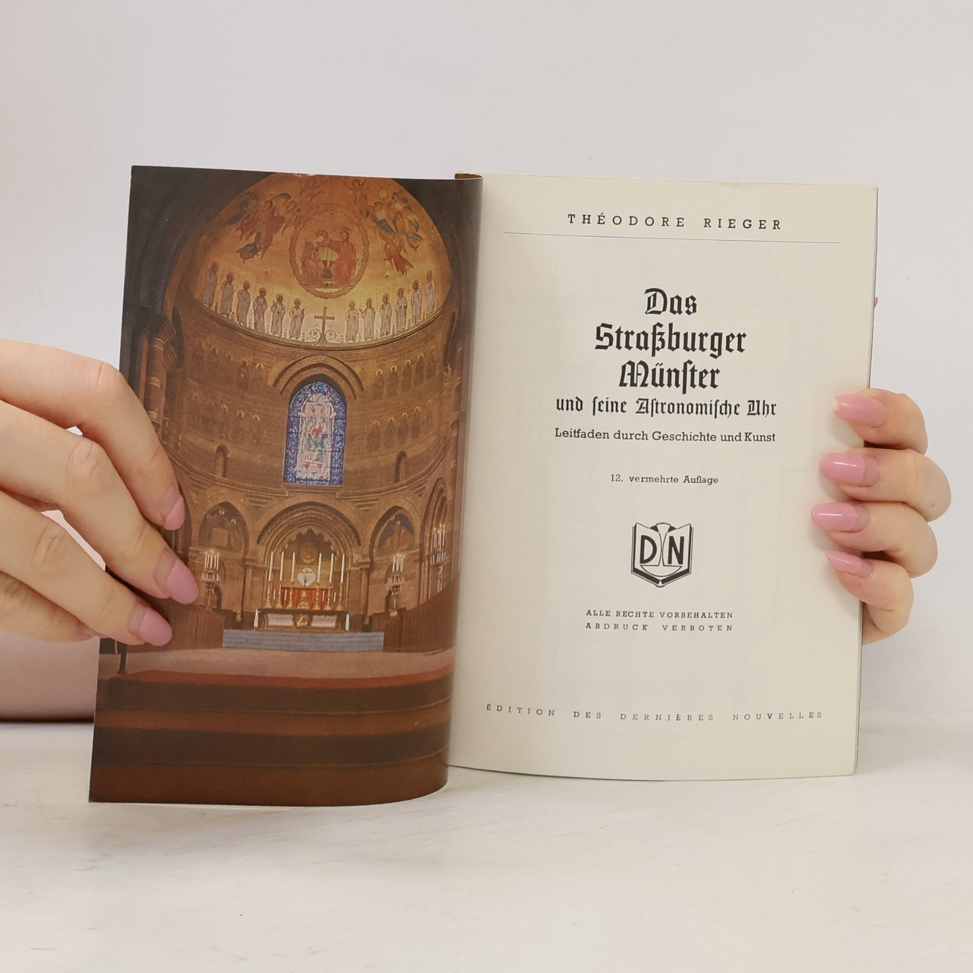 Autores varios Das Strassburger Münster