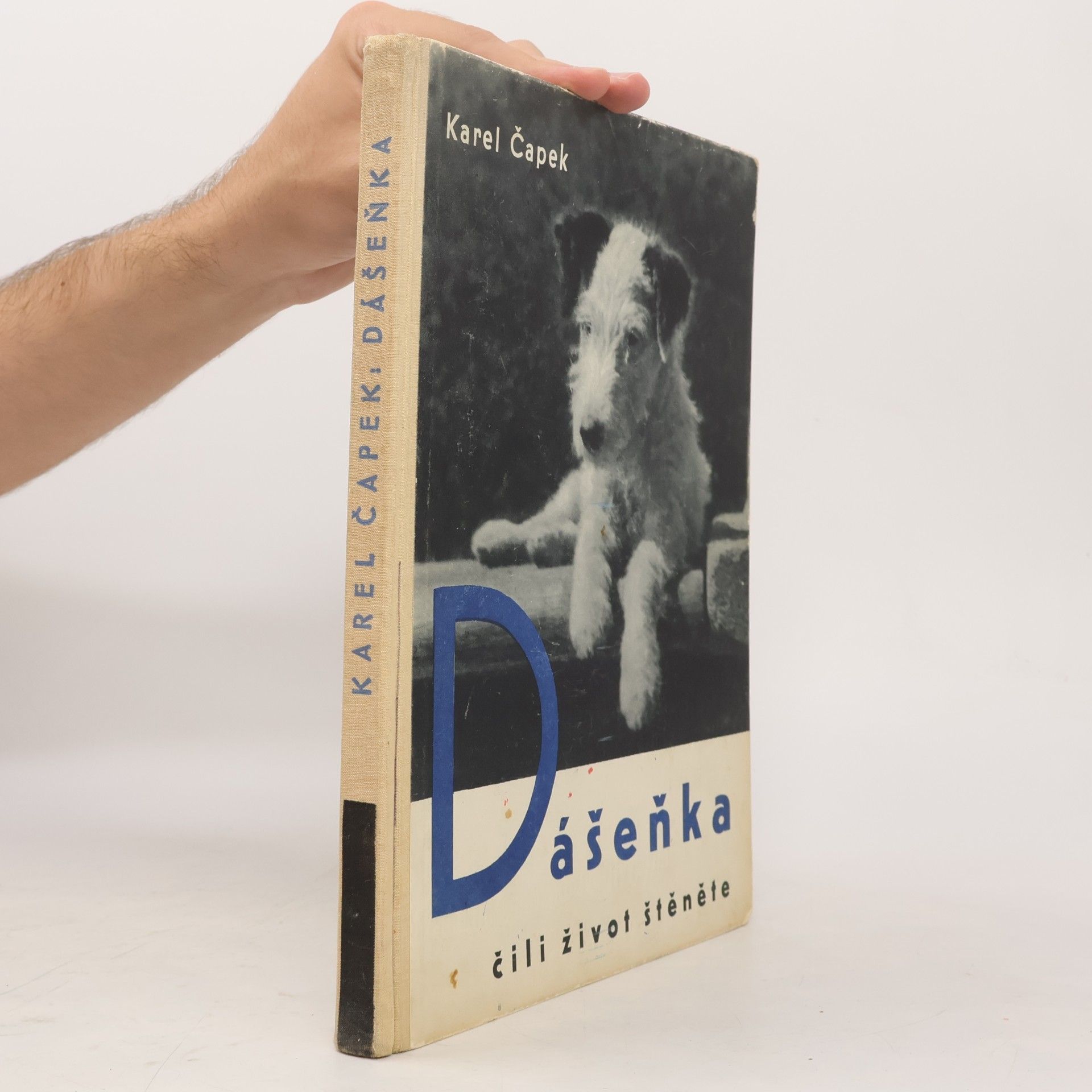 Karel Čapek Dášeňka čili život štěněte
