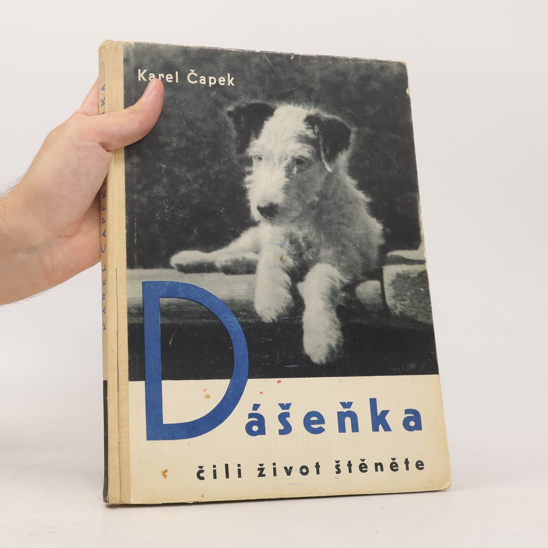 Karel Čapek Dášeňka čili život štěněte