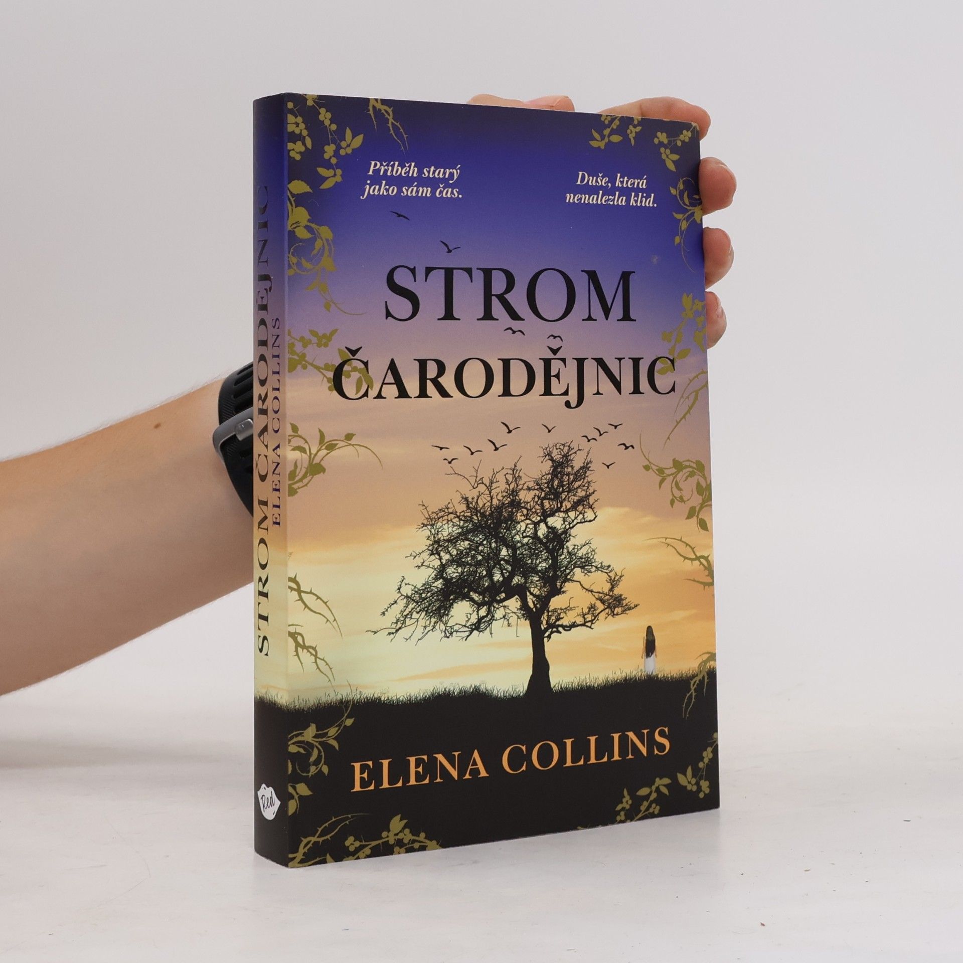 Judy Leigh Strom čarodějnic