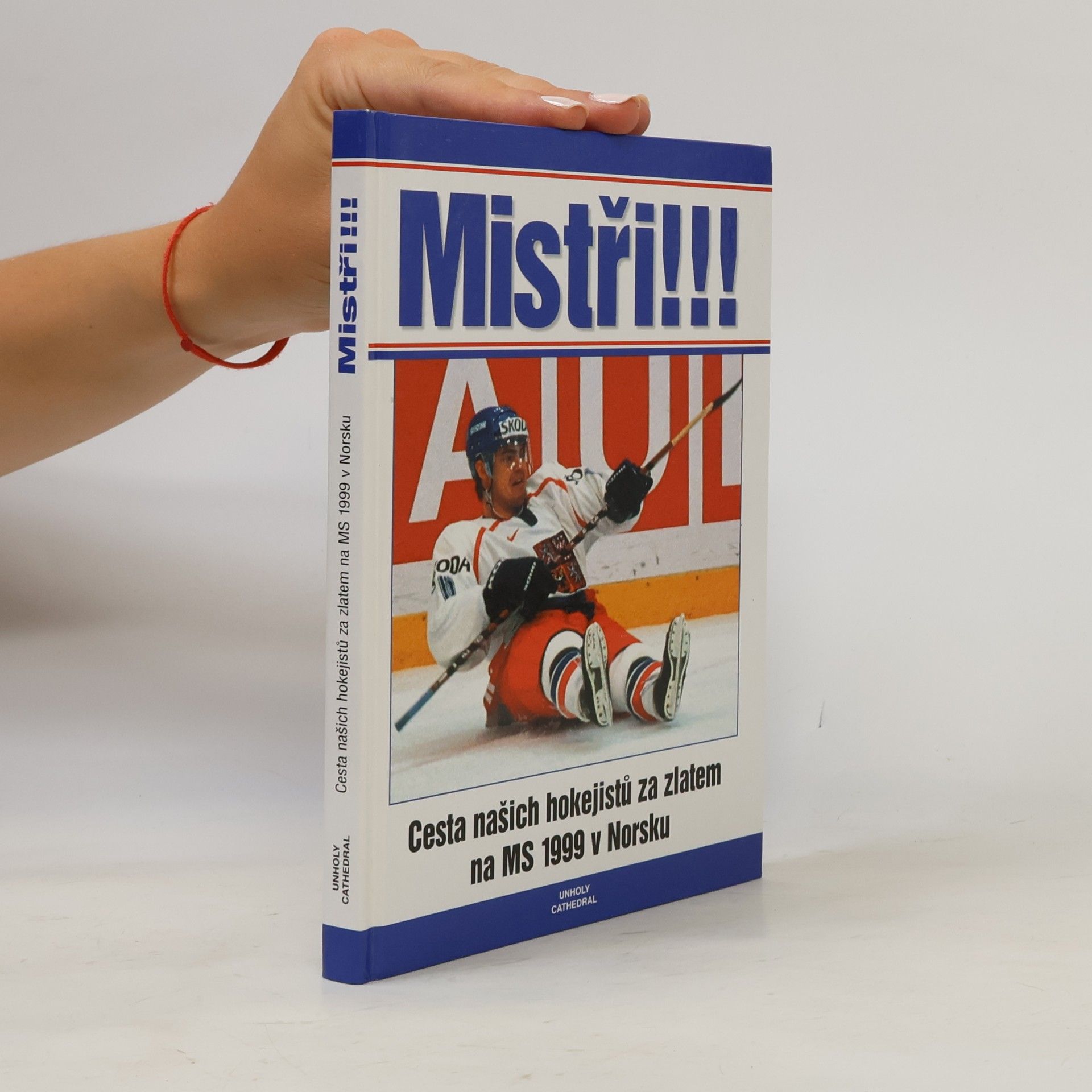 Autorenkollektiv Mistři!!!