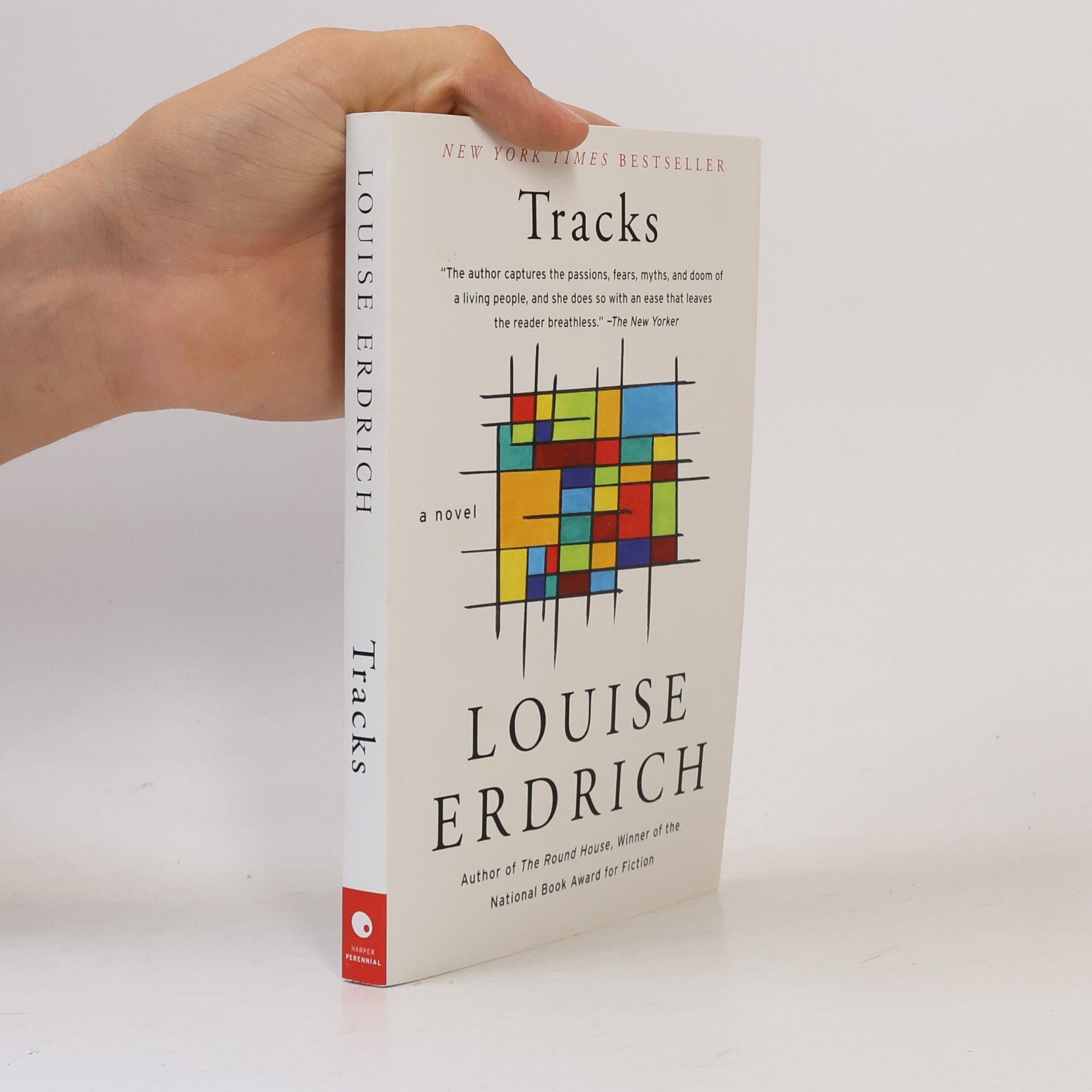 Louise Erdrich Tracks