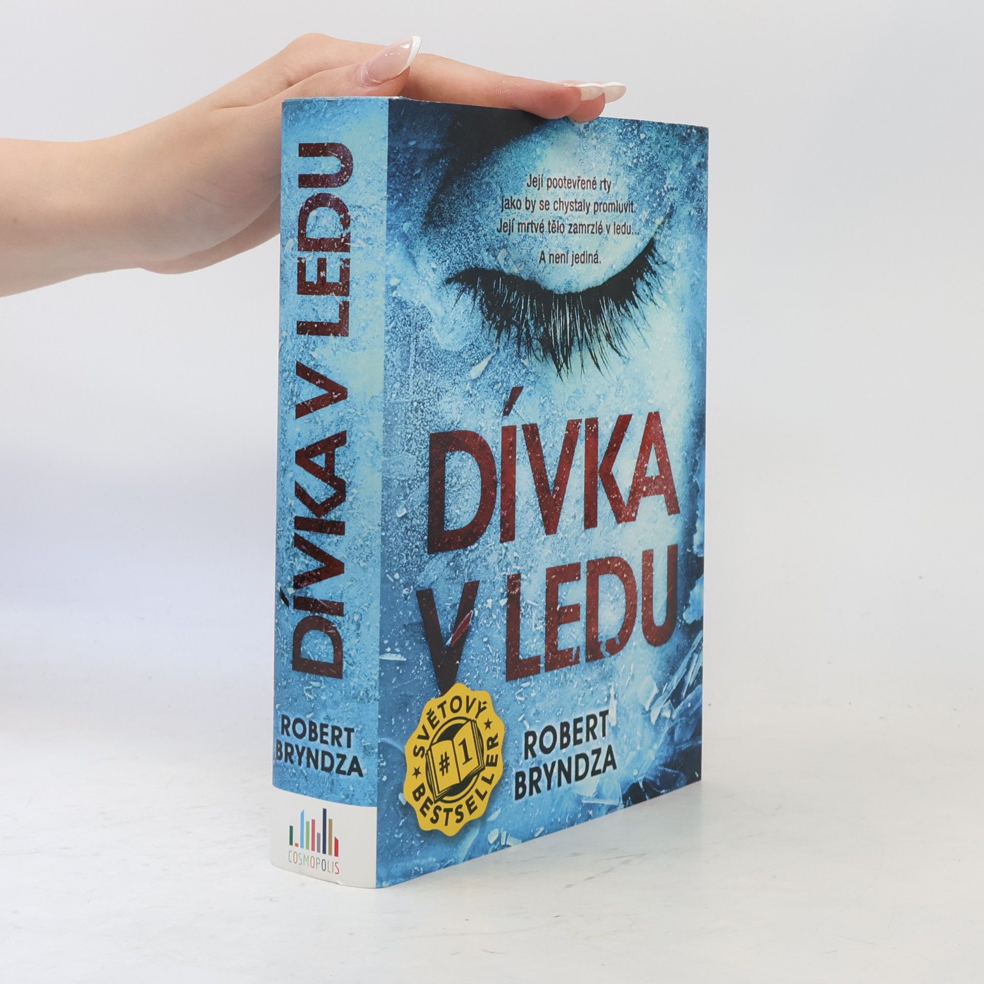 Robert Bryndza Dívka v ledu