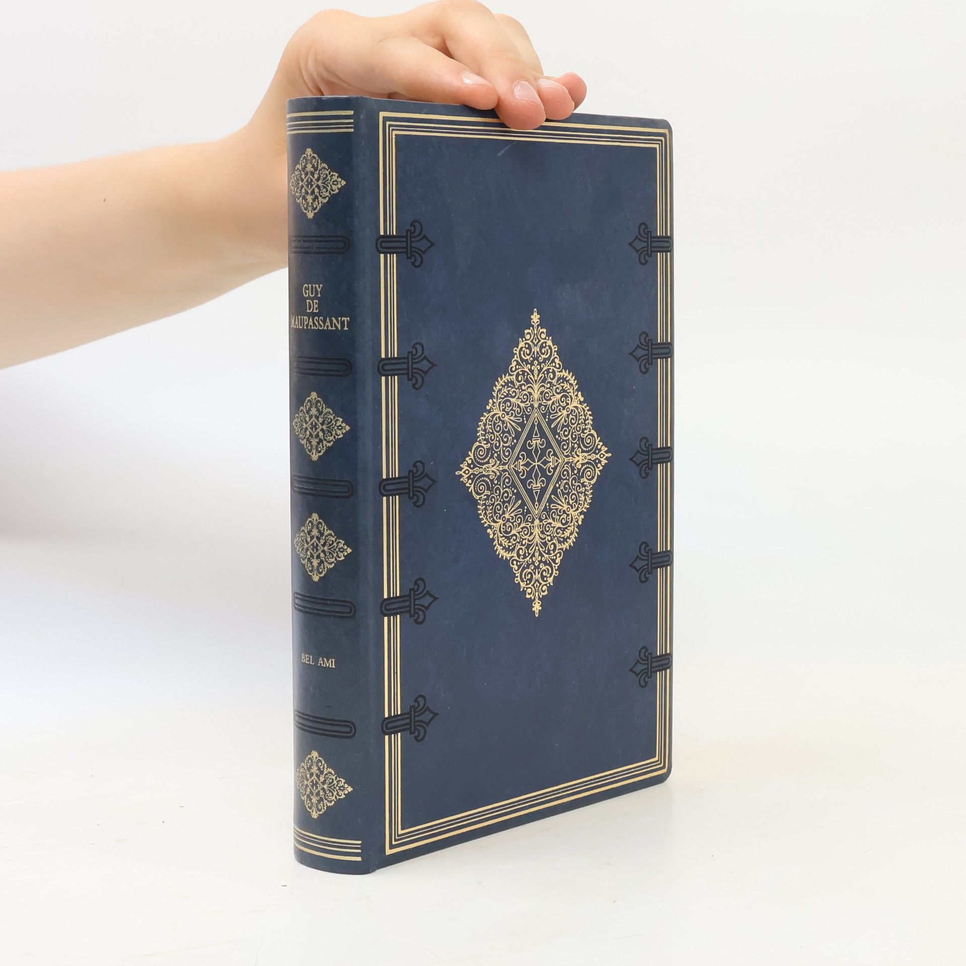 Guy de Maupassant Gesamtausgabe der Novellen und Romane