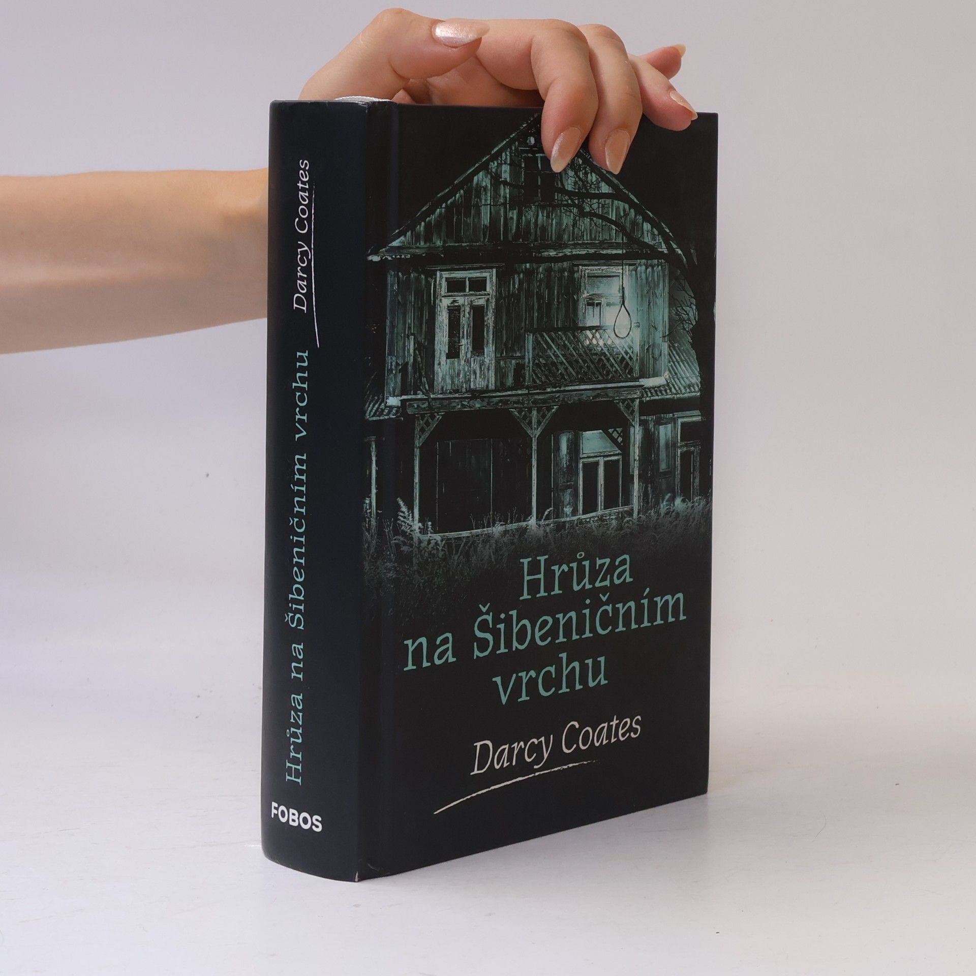 Darcy Coates Hrůza na Šibeničním vrchu