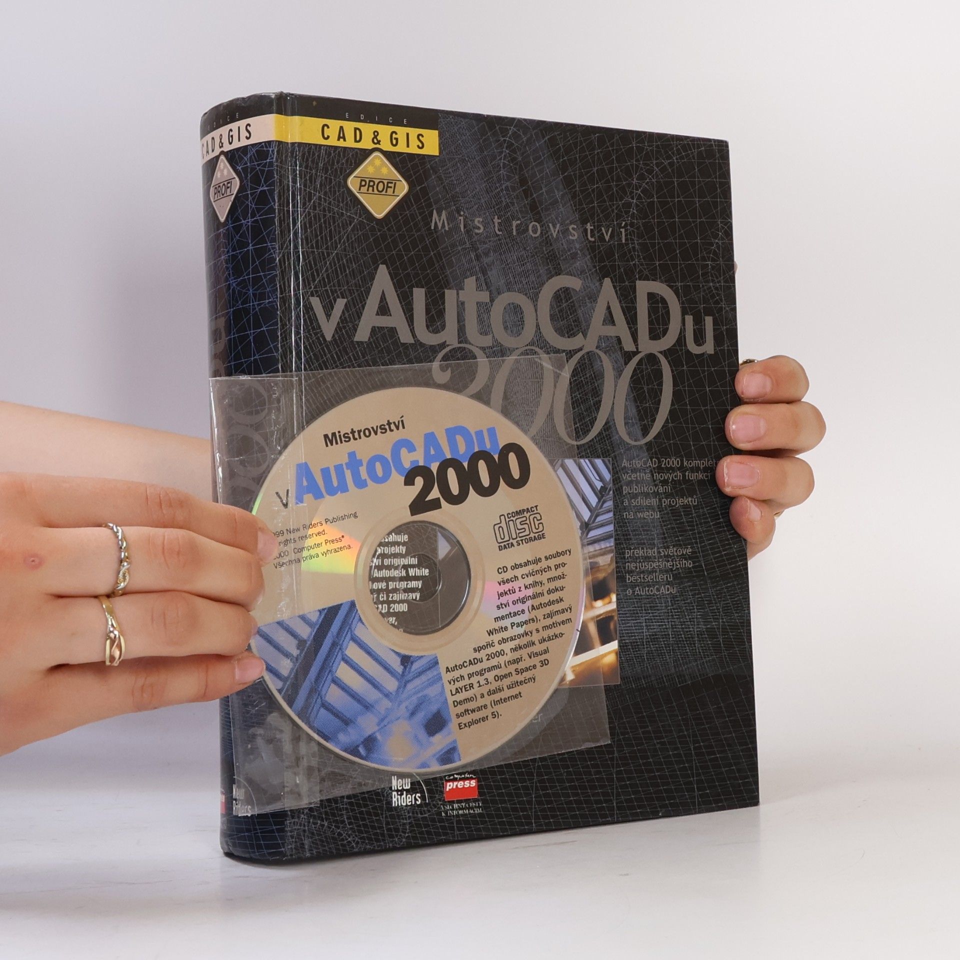 Kolektiv autorů Mistrovství v AutoCADu 2000