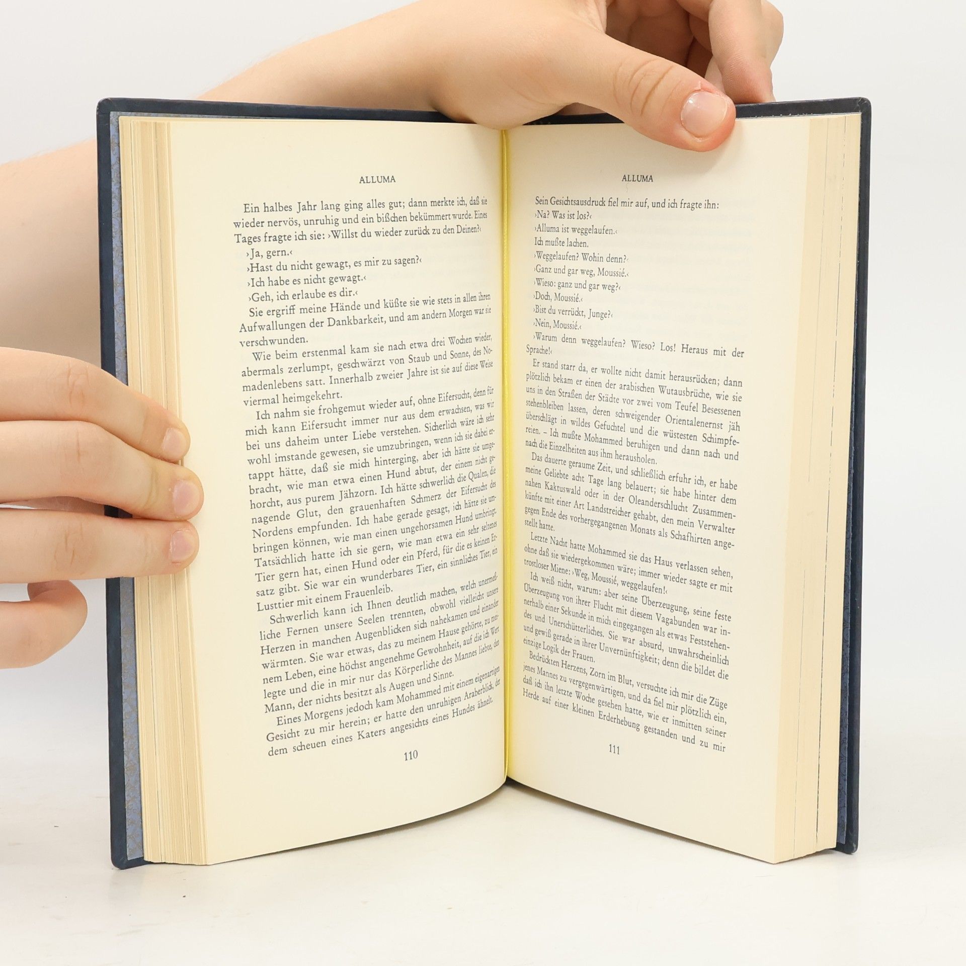 Guy de Maupassant Gesamtausgabe der Novellen und Romane