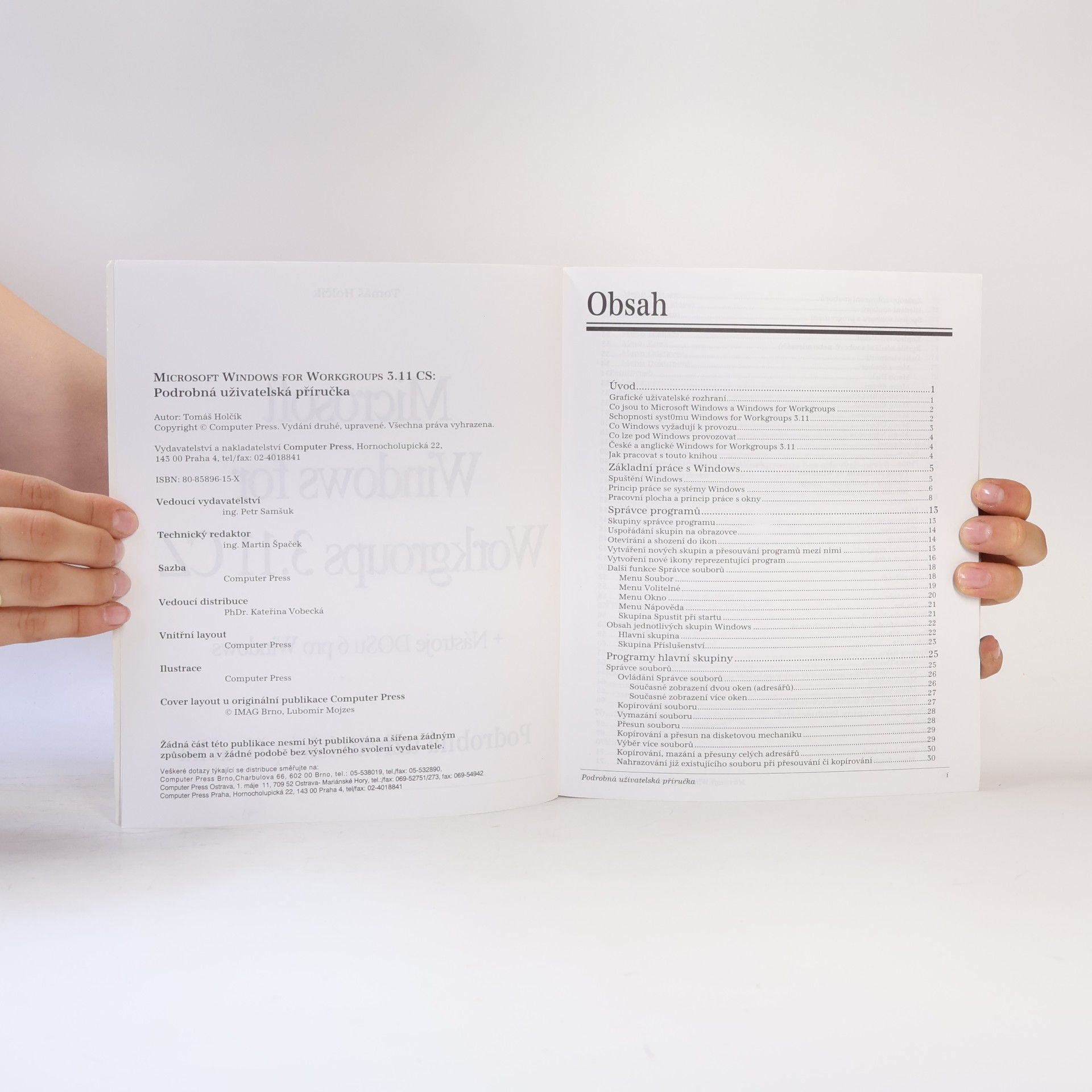 Tomáš Holčík Microsoft Windows for Workgroups 3.11 CS: Podrobná uživatelská příručka