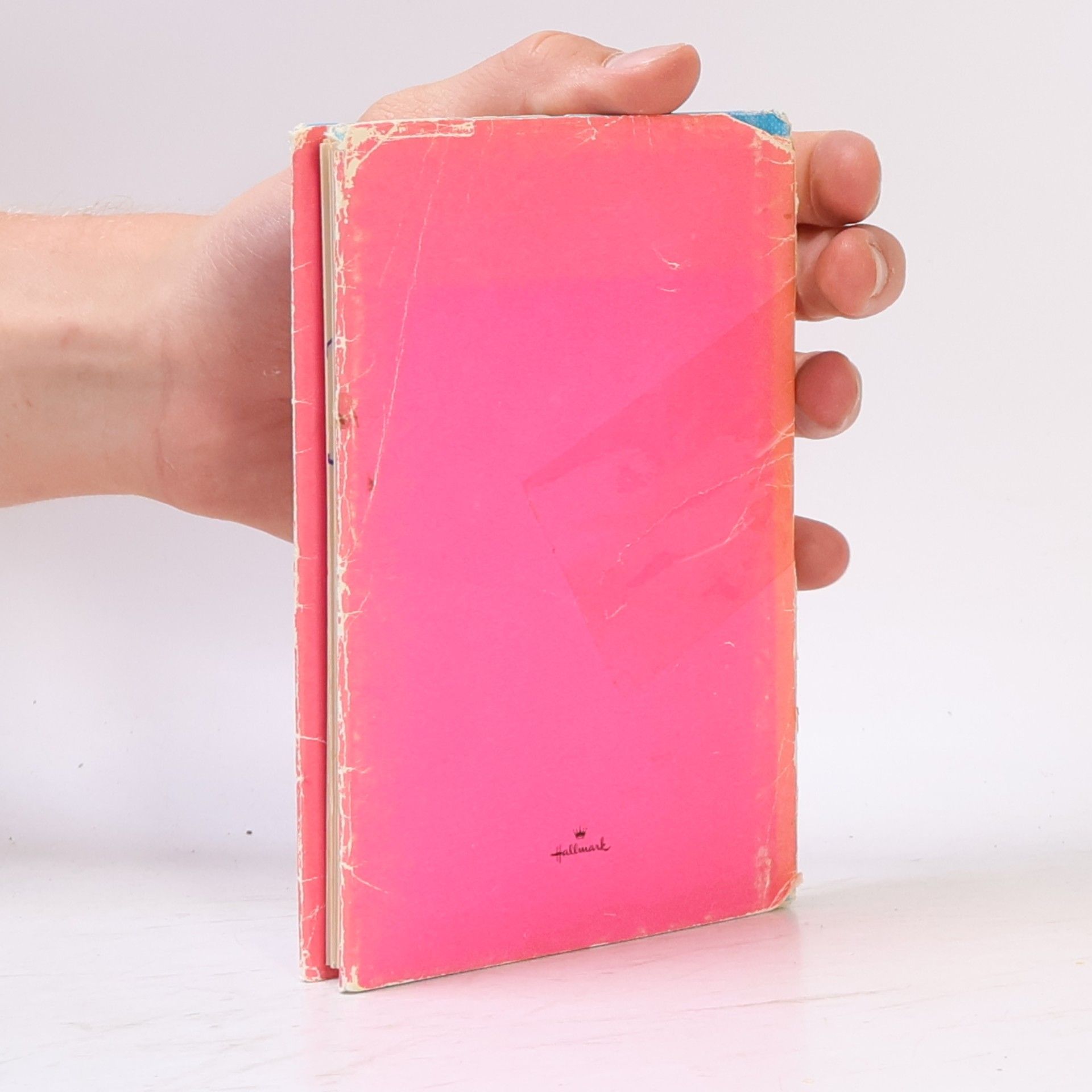 Autorenkollektiv Petits et Grands Bonheurs