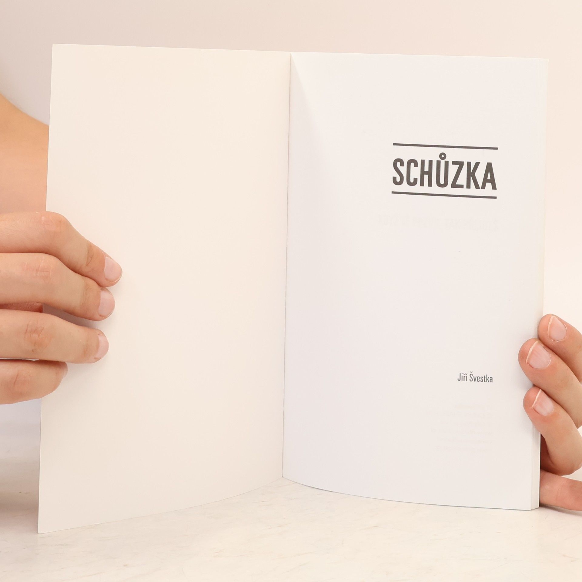 Jiří Švestka Obchod je hra: Schůzka