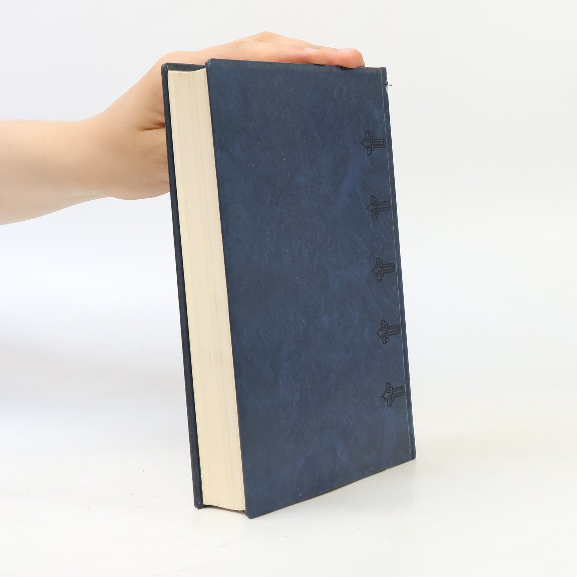 Guy de Maupassant Die kleine Roque und andere Novellen