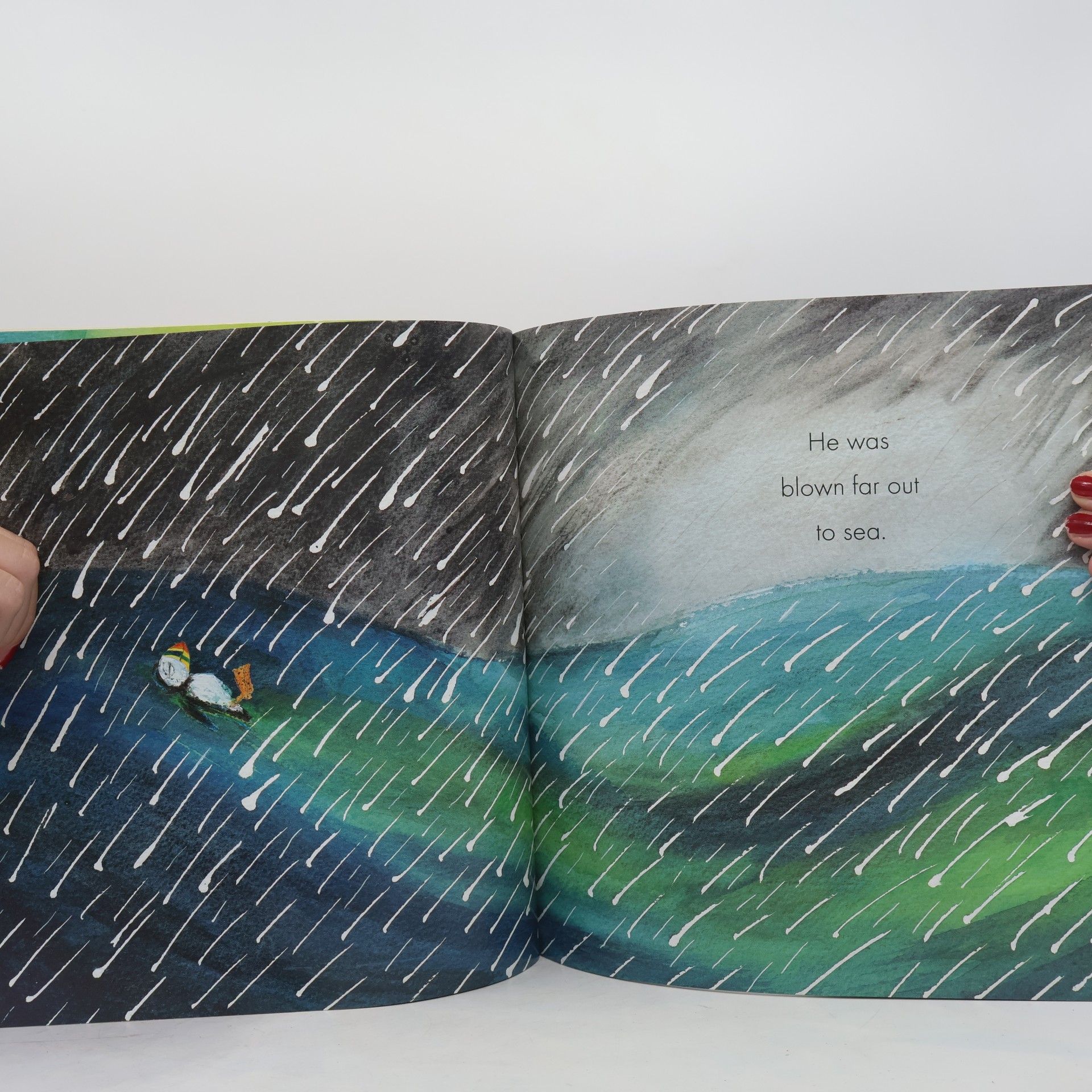Horacek Petr Puffin Peter