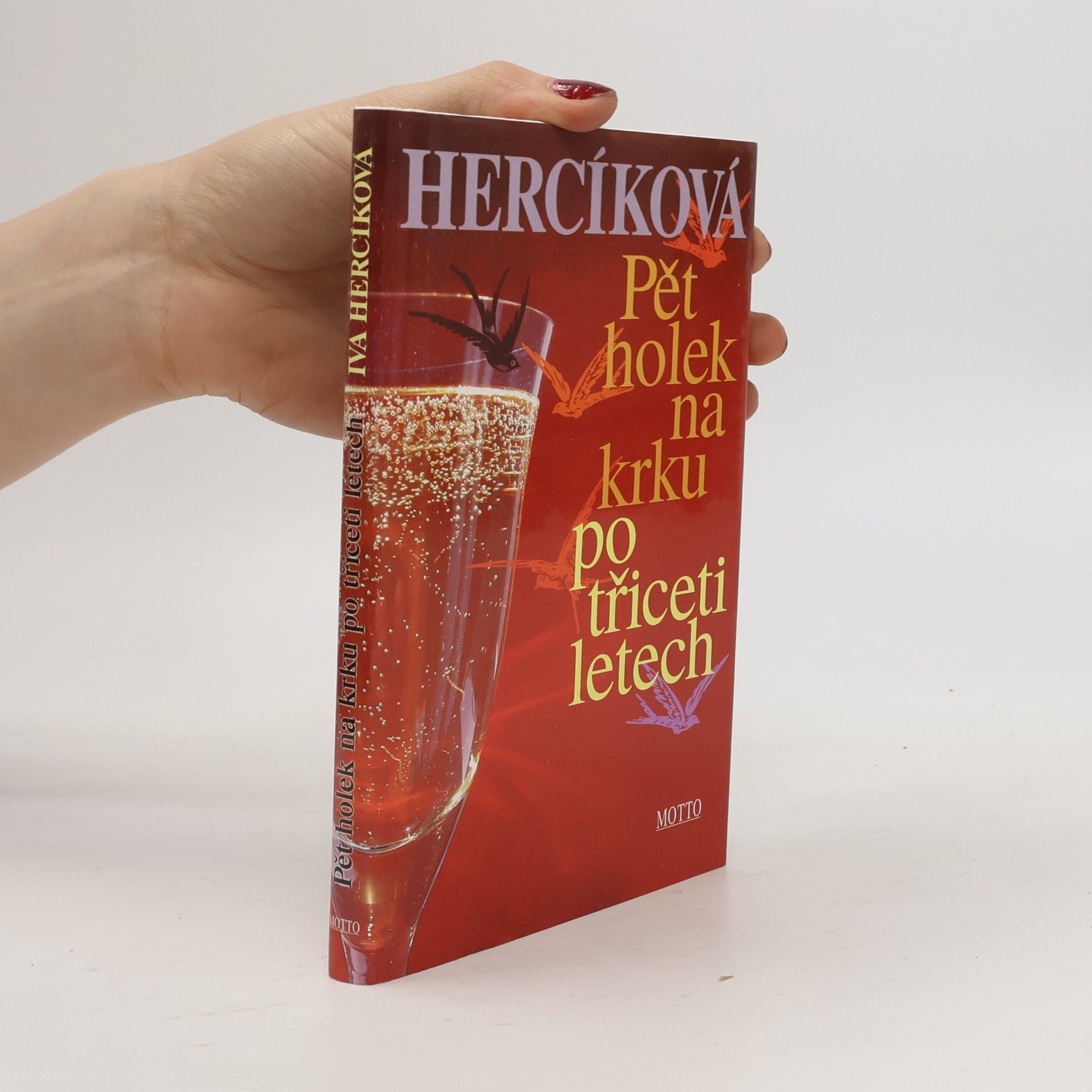 Iva Hercíková Pět holek na krku po třiceti letech
