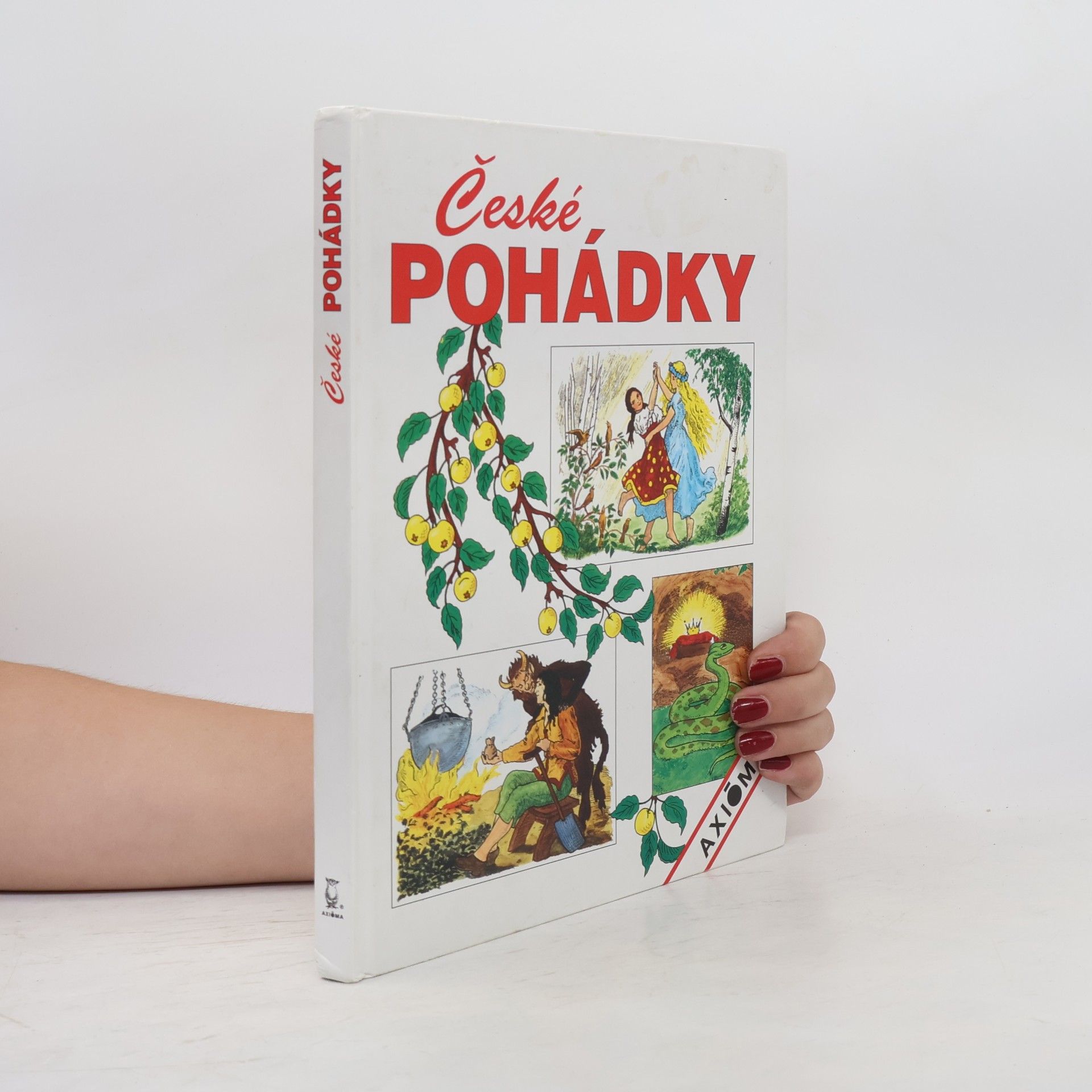 Collectif d'auteurs České pohádky